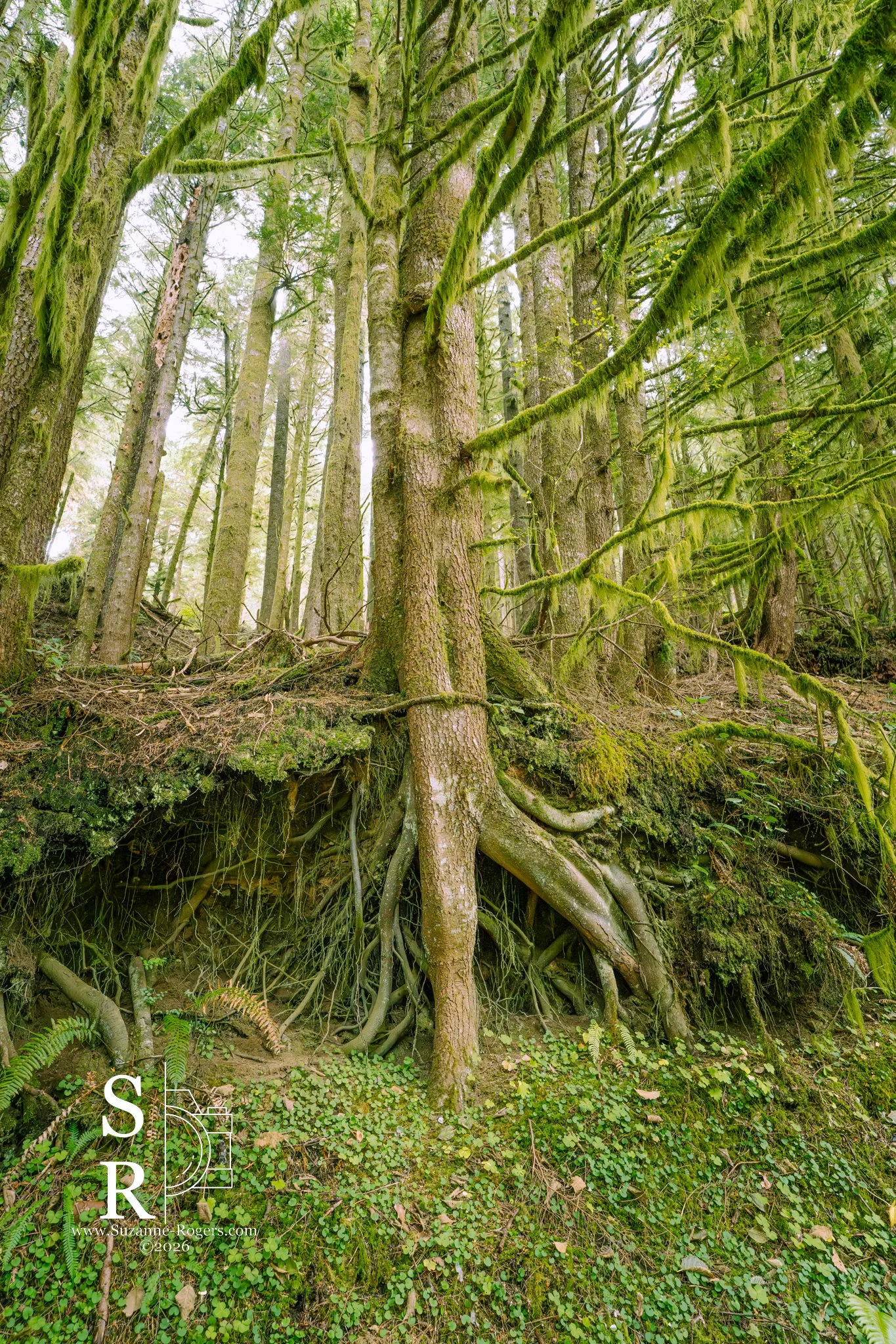 Oregon
