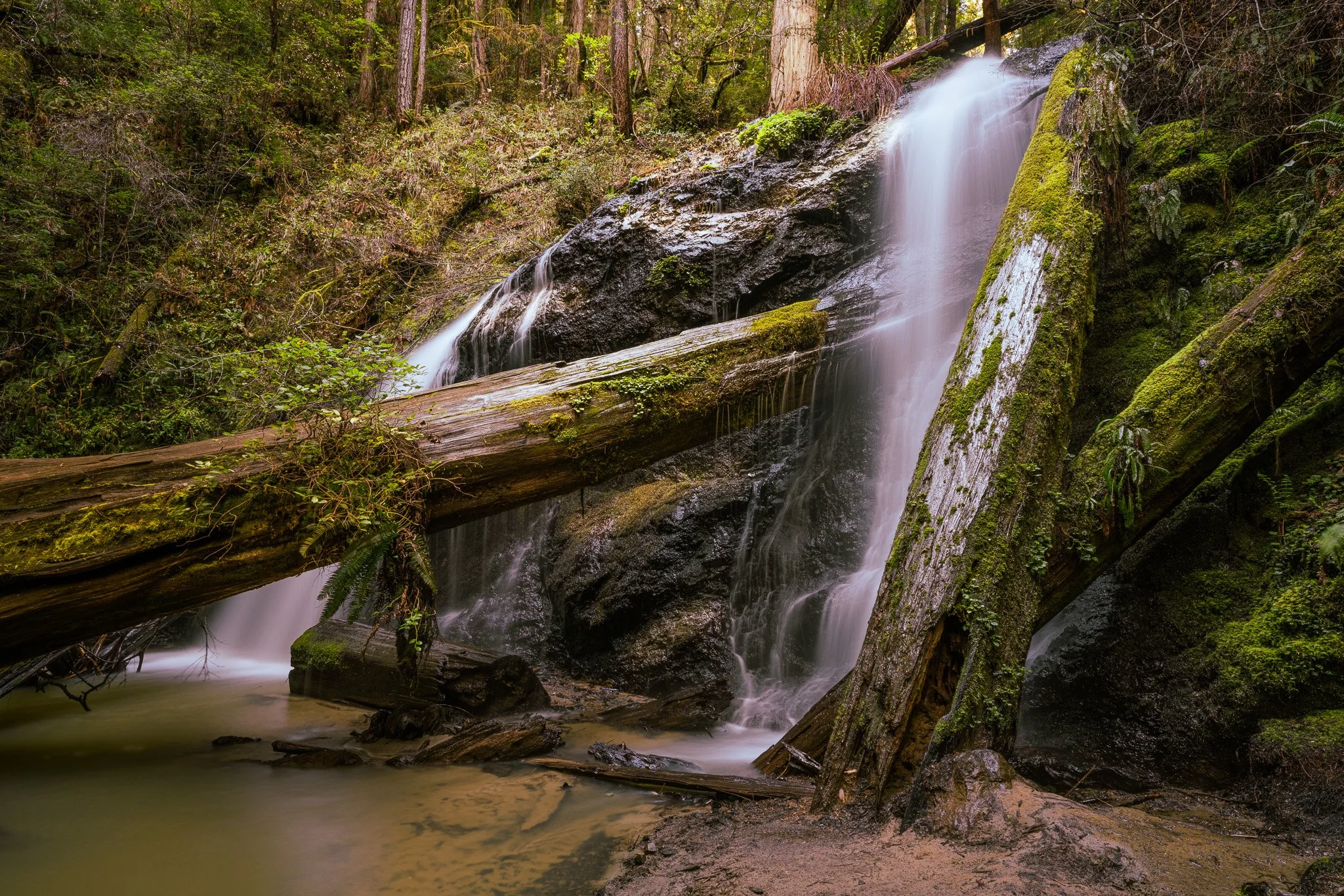 Russian Gulch State Park, California