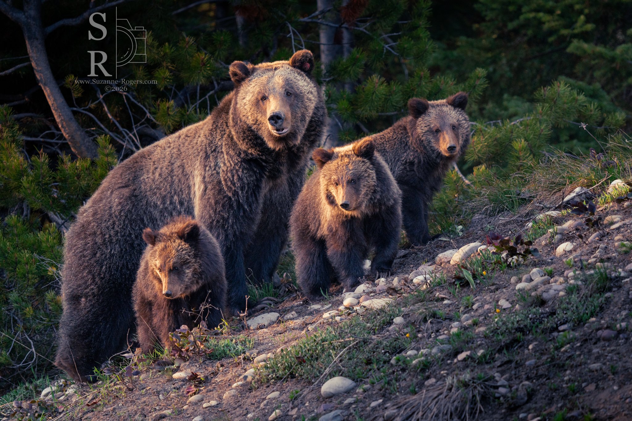 Grand Teton National Park, Wyoming