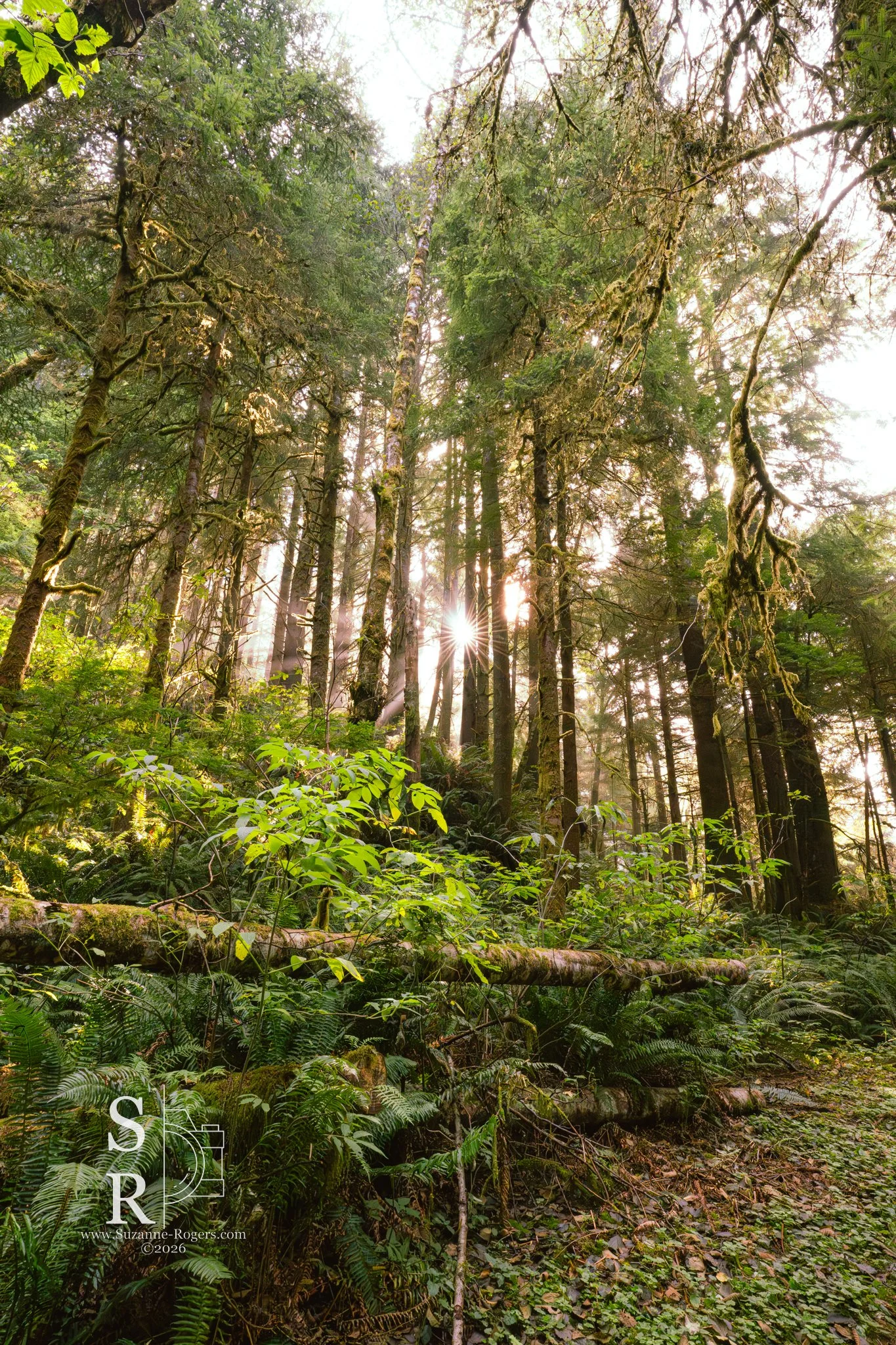 Oregon