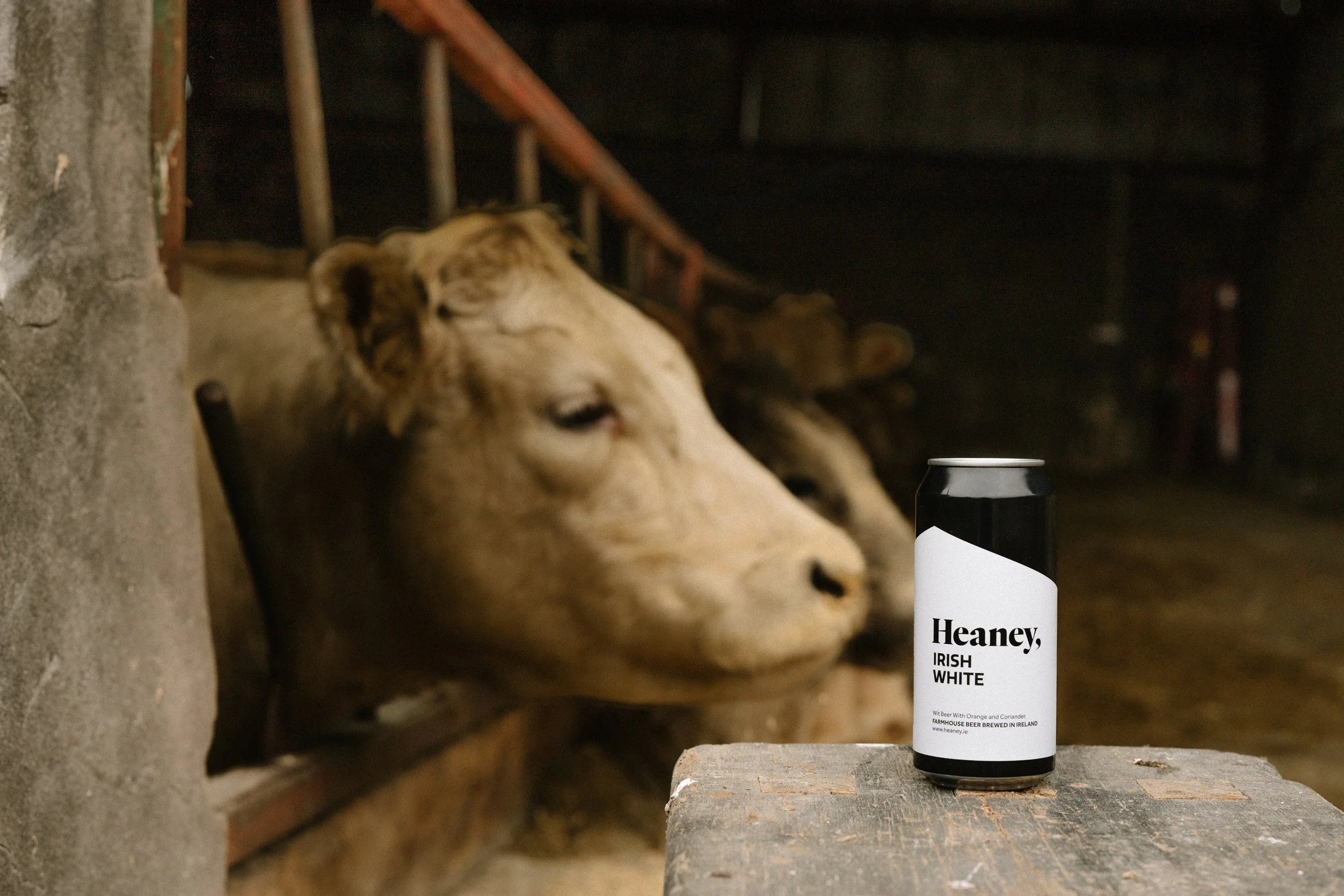 HEANEY_BREWERY_RIT04410.jpg