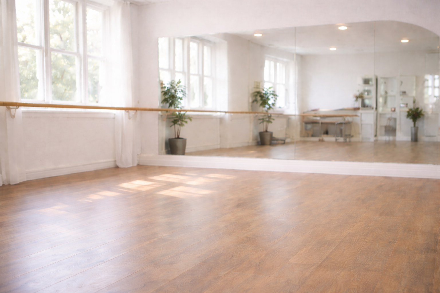 Empty dance studio with wooden floor, large wall mirror, ballet barre, and potted plants near windows, illuminated by natural light.