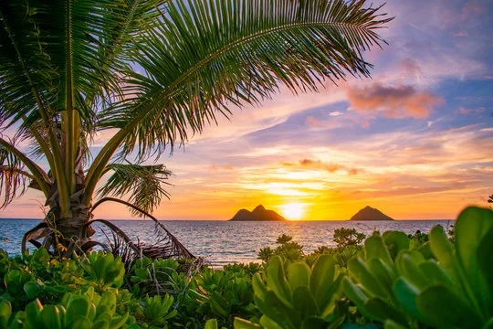 Tropical sunset over the ocean with palm trees and lush green plants in the foreground, and islands in the distance.