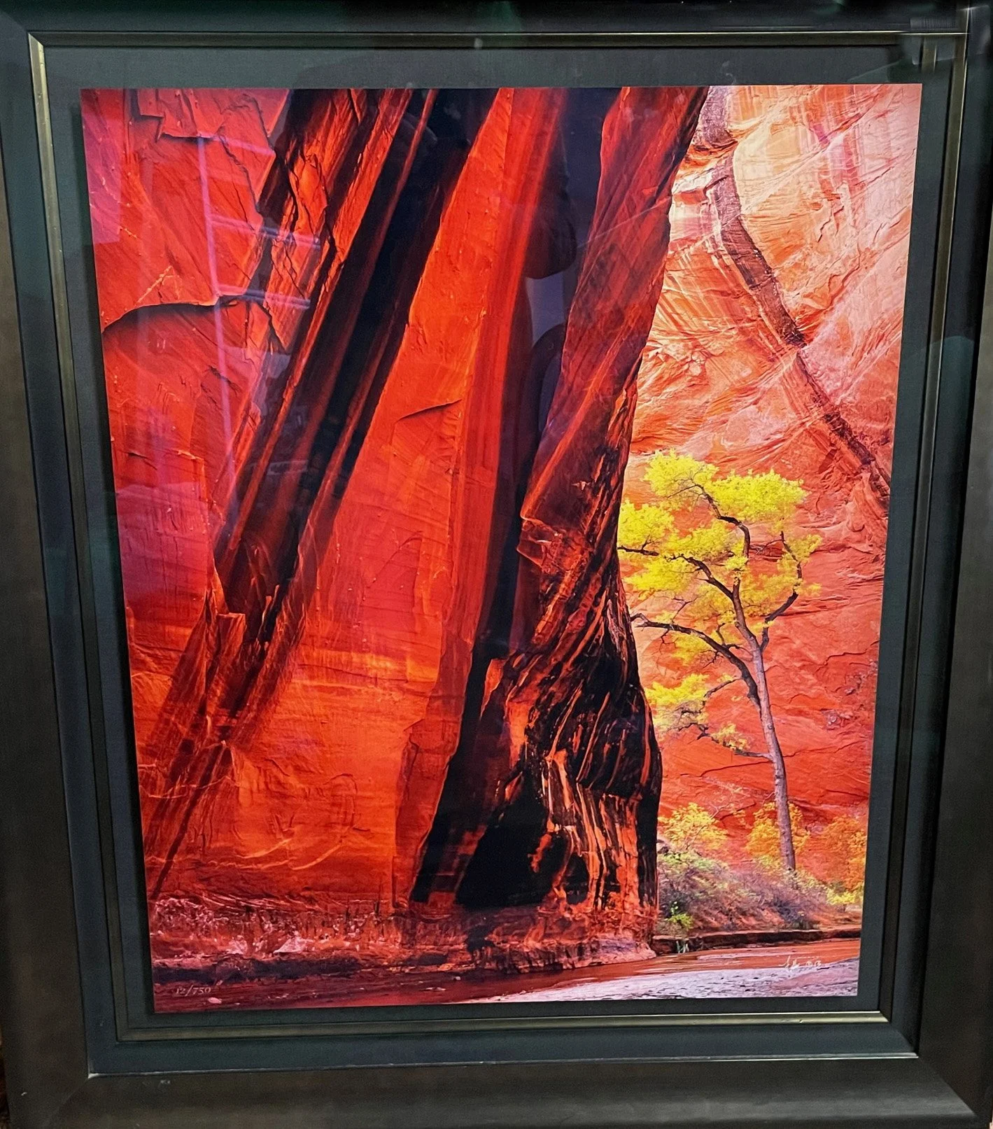 A framed photograph of towering red rock formations with a yellow-green tree and dry vegetation at the base, resembling a desert canyon scene.