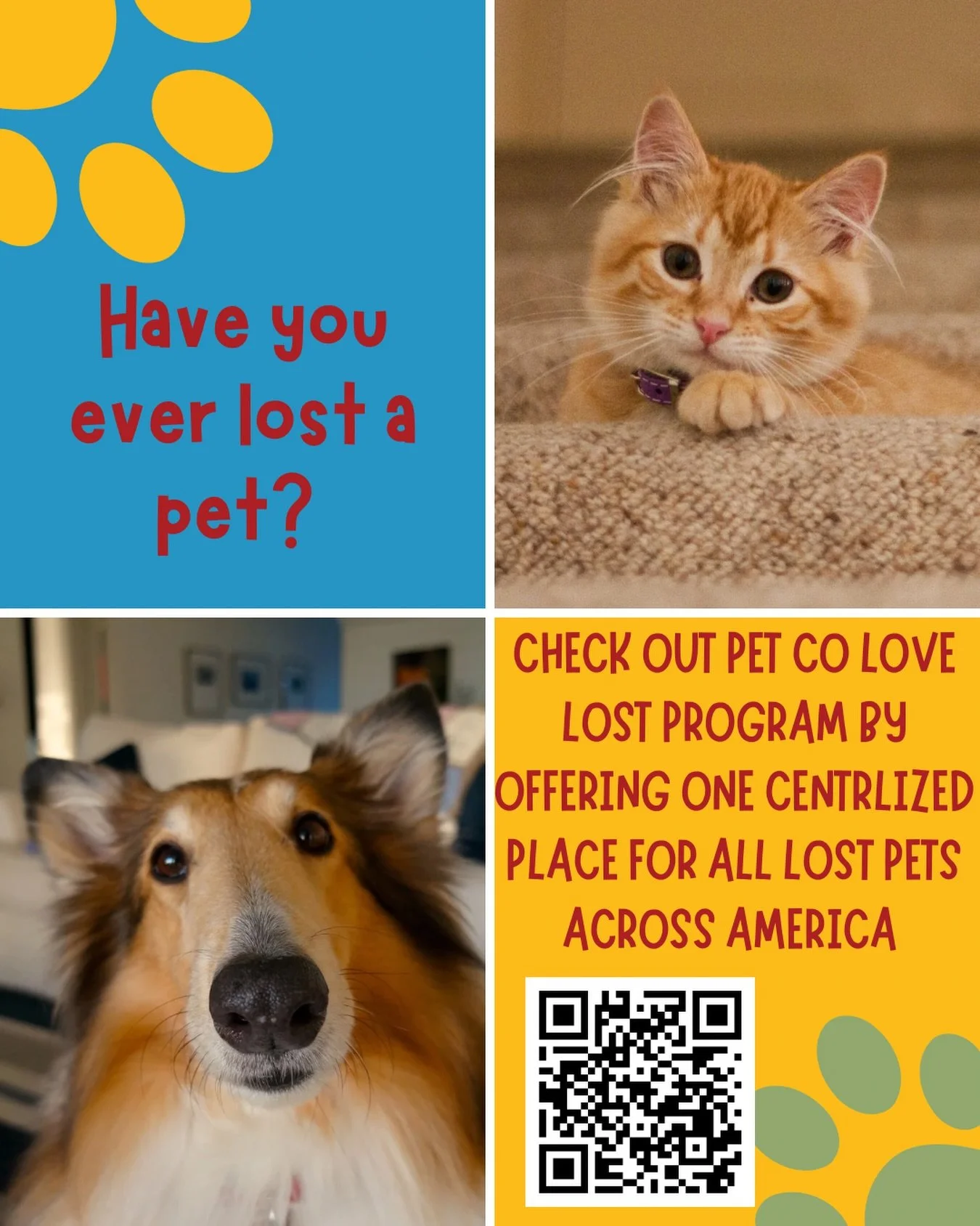 Lost doesn&rsquo;t mean gone forever 💙
With Petco Love Lost, we&rsquo;re helping reunite pets with their families every day.
Upload a photo, spread the word, and bring them home 🐾 @petcolovelost