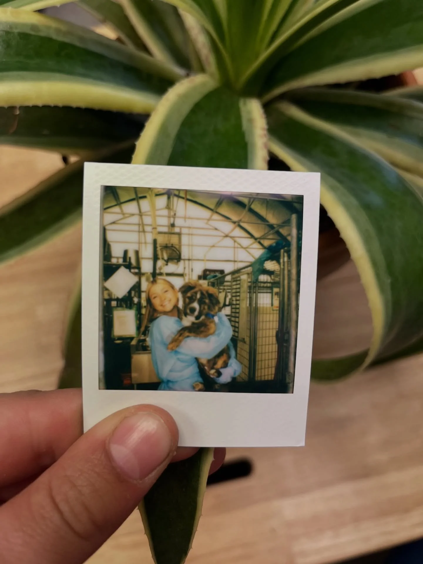 Every life we save is because of the people who show up every single day. We love and appreciate our incredible staff. 🐶🐱