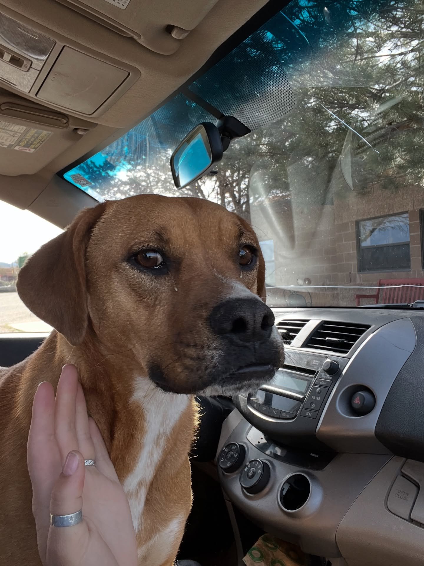 Do you know me?? Female found by the high-school