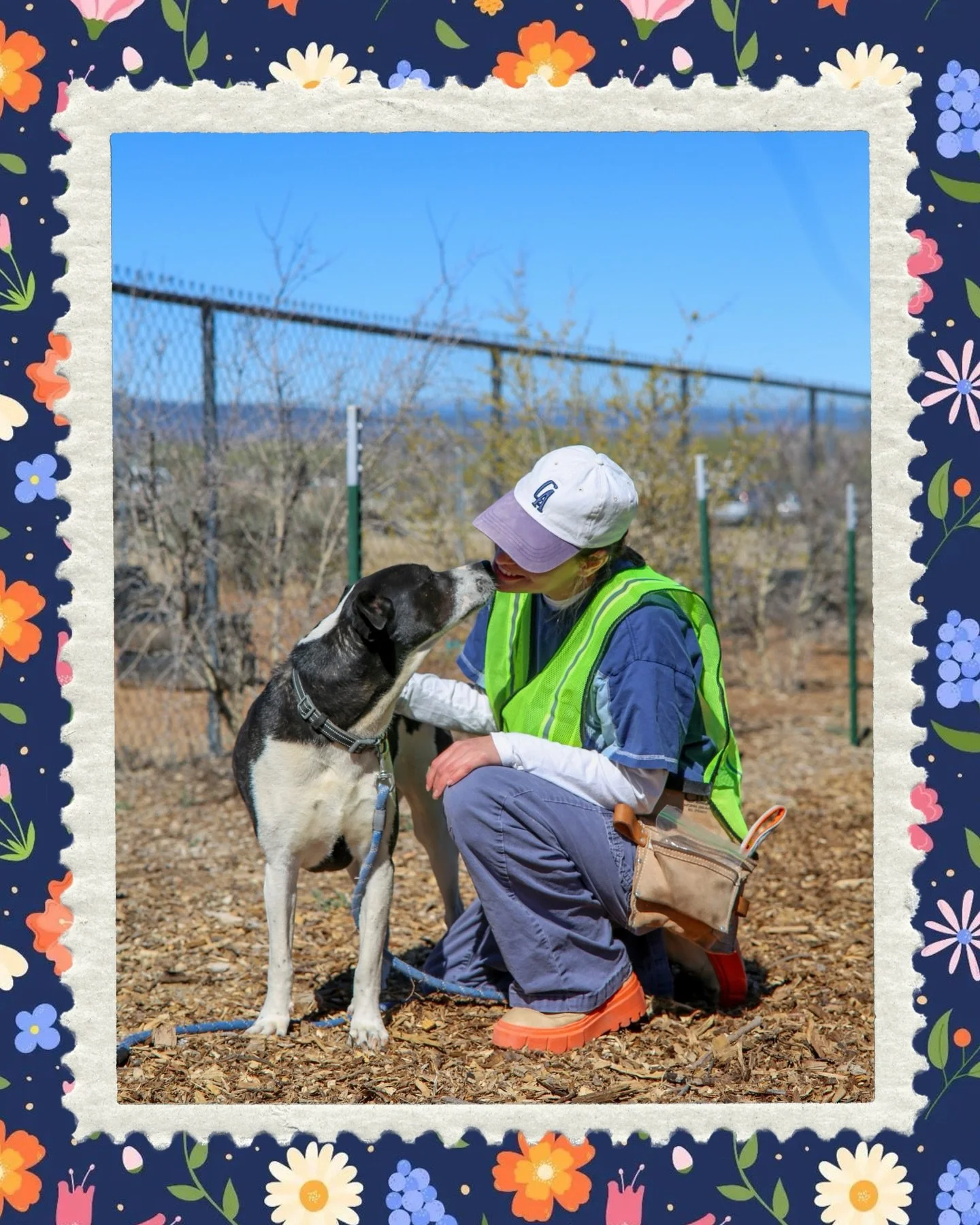 Volunteer today 🐾

Be the reason a shelter pup smiles today. These dogs are just waiting for someone to show them it&rsquo;s safe to love again, to teach them that kindness still exists, and to be the light in their day when everything feels unfamil