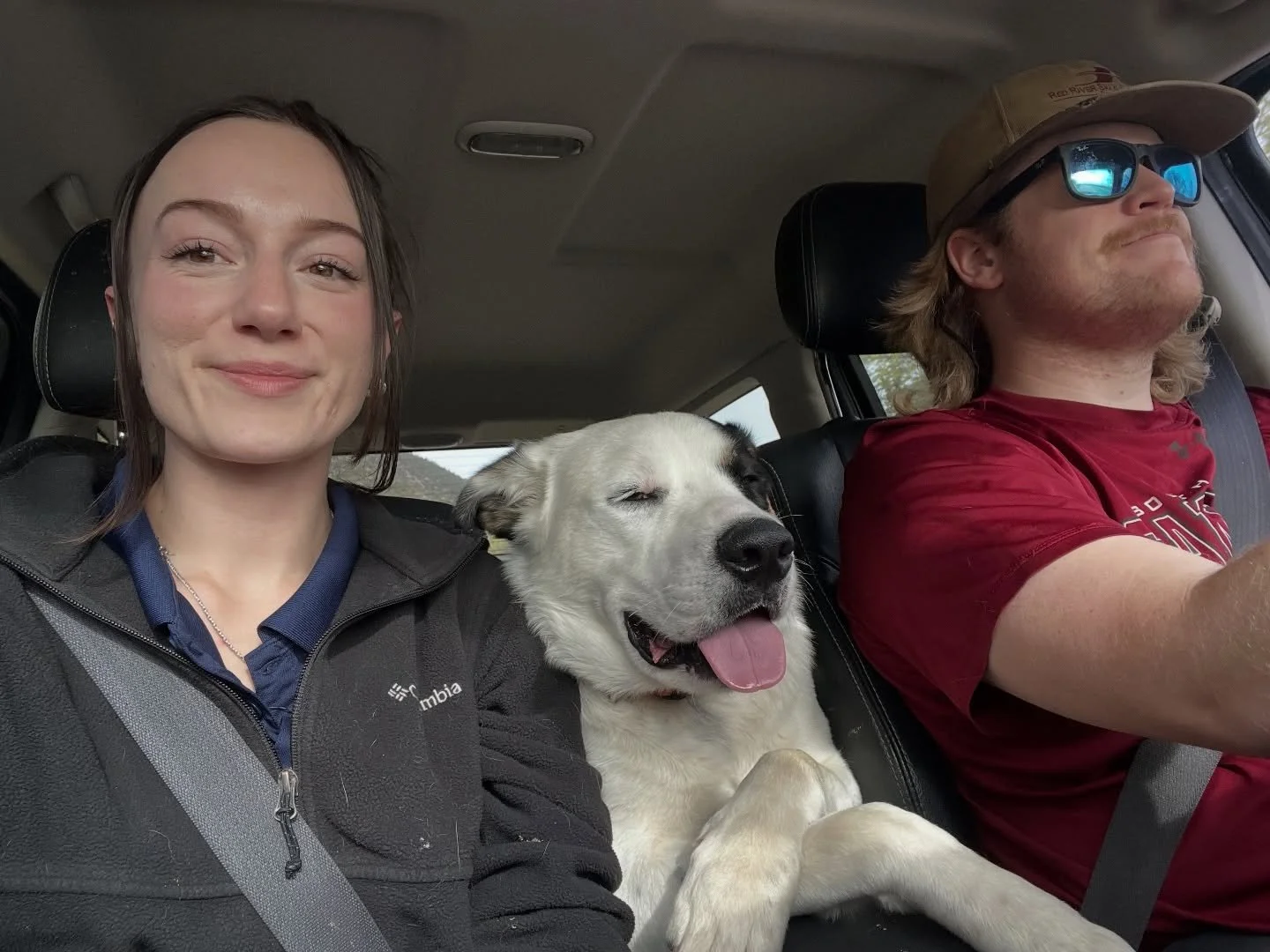 Fosters needed now more than ever 🤍
This is what foster life can look like &mdash; safe naps, full bellies, and a second chance at love.
Open your home, change a life. Even short-term fosters make a forever impact.