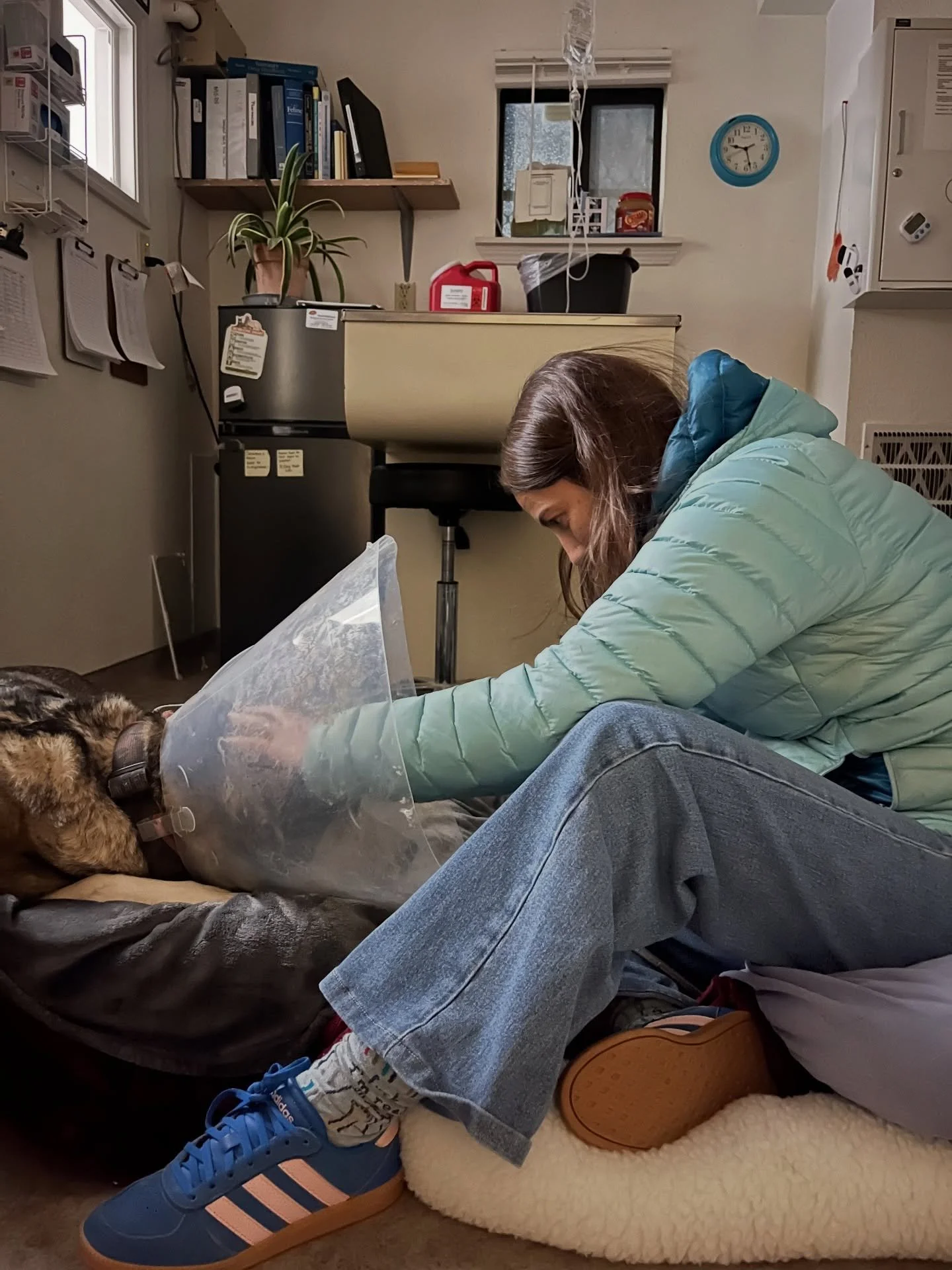 Our Executive Director showed up at 9:00 last night just to make sure Shylo got the medication he needs to stay comfortable.

This is the kind of care he&rsquo;s receiving&mdash;but what he really needs is a quiet, loving place to heal.

Shylo is sti
