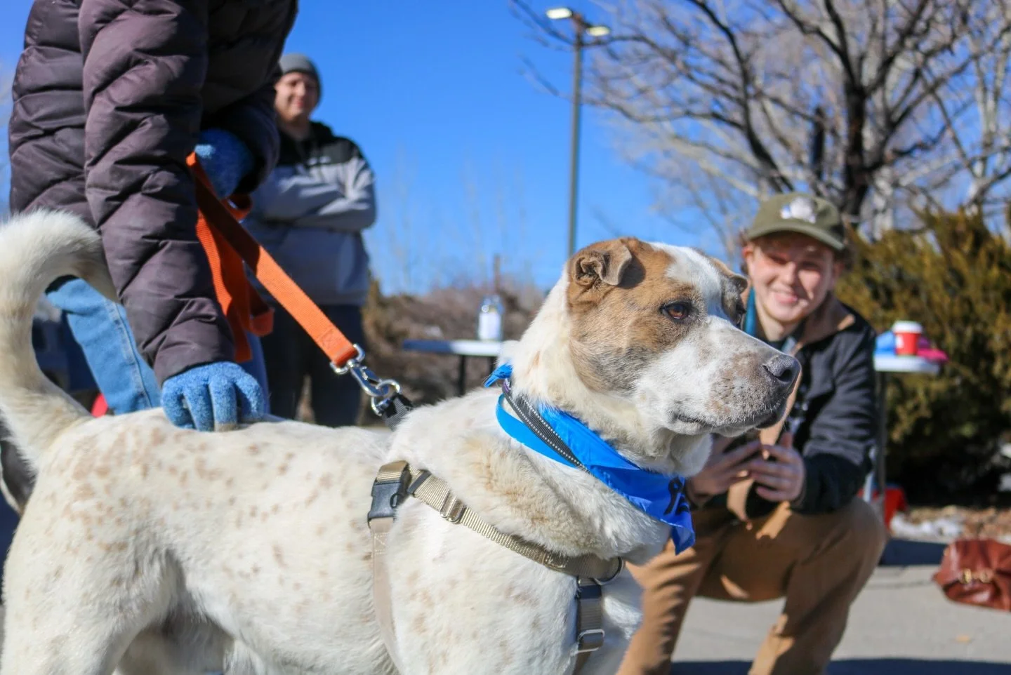 Adoption Event This Friday! 🐾
Join us on Bent Street this Friday from 3&ndash;7 PM!

Come meet adorable puppies, find your new best friend, and spend a fun afternoon supporting local rescue efforts. Whether you&rsquo;re ready to adopt or just want s