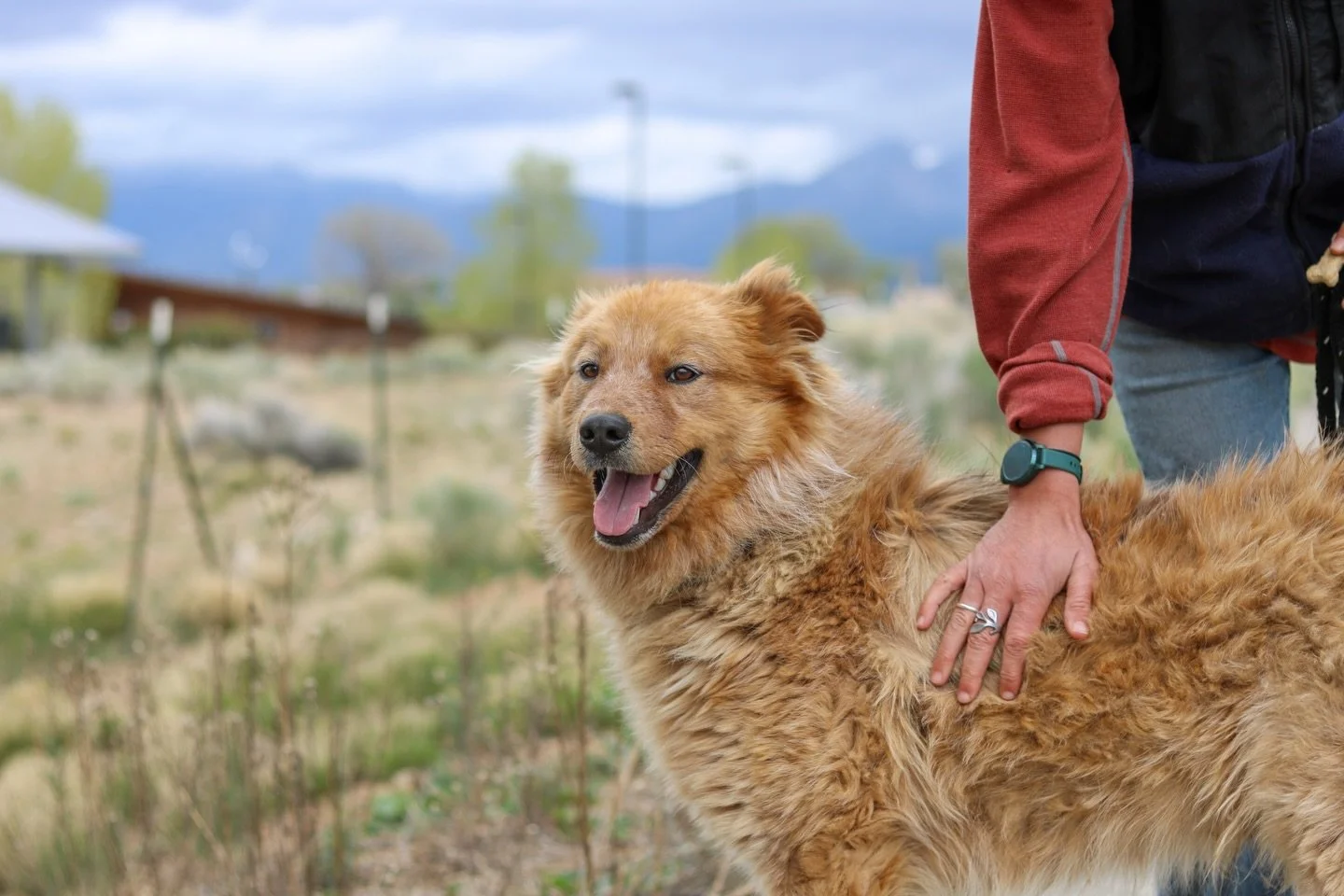 Meet Bernard, your ultimate hiking guide&mdash;if your idea of &ldquo;guide&rdquo; includes zero navigation skills and maximum snack detection.

Bernard hits the trail with confidence, leading the way like he knows exactly where he&rsquo;s going (he 