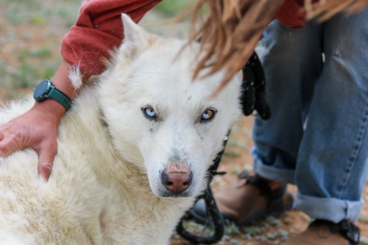 Meet Zeus, the Greek God of Dog&mdash;ruler of Mount Pawlympus, master of thunder&hellip; and part-time nap enthusiast.

Long ago (like, earlier this morning), Zeus awoke from his 14th nap to discover the world was in chaos. A squirrel had breached t