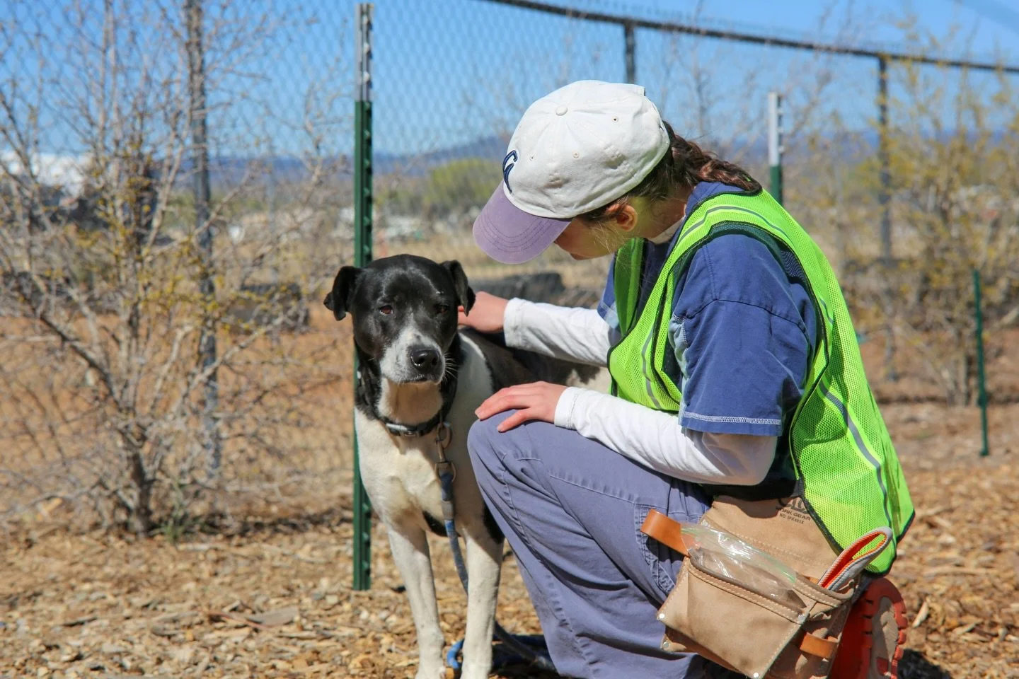 🐾 We Need Volunteers &mdash; Apply Today! 🐾

Animals in our community need you right now. From walks and playtime to helping at events and supporting daily care, every helping hand makes a real difference.

Whether you have an hour or a whole after