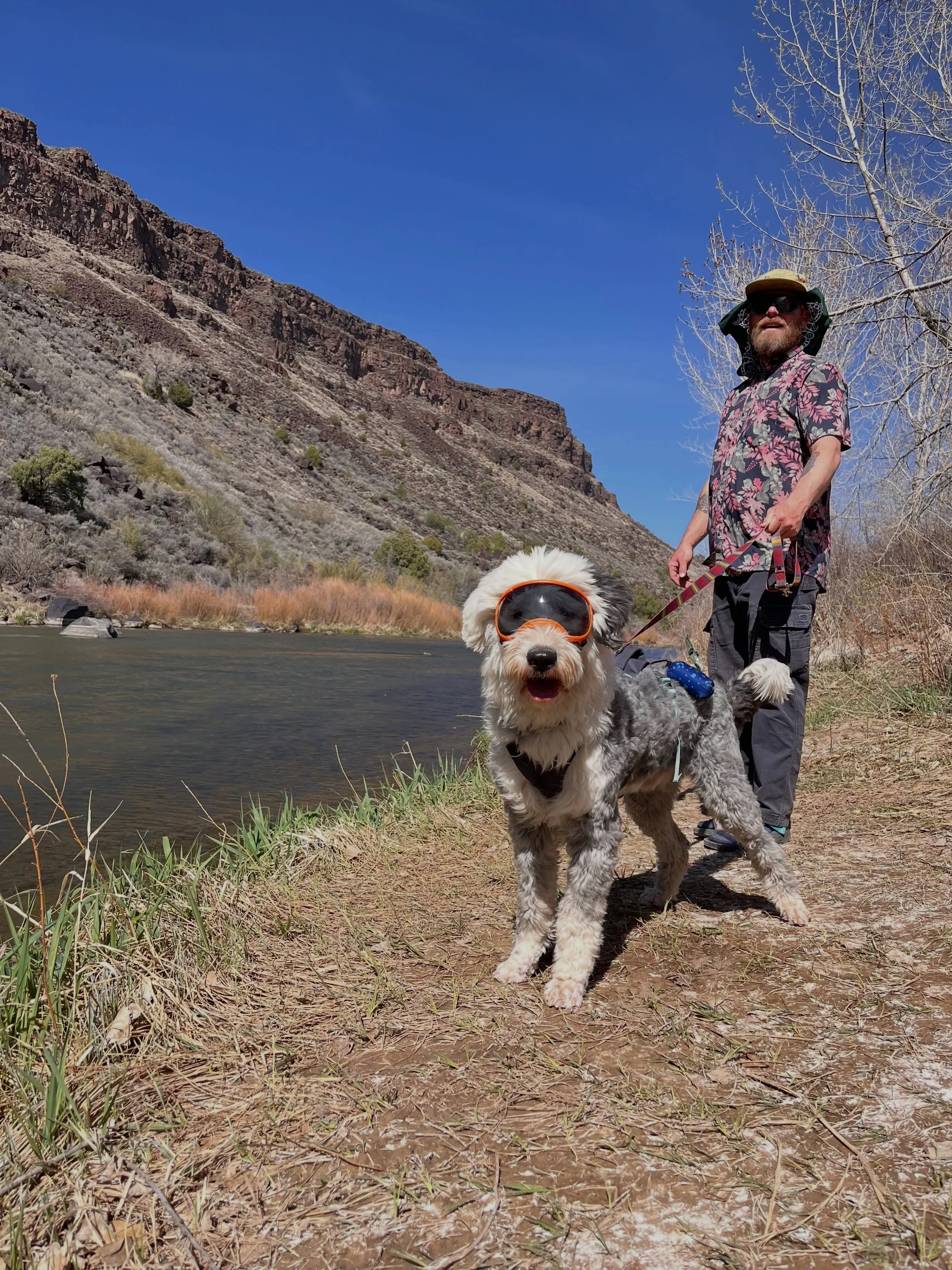 Meet Diego! A few months ago this handsome boy was adopted from us, and now he&rsquo;s living his best adventure life. From hikes and fishing trips to couch cuddles after a long day, Diego has truly found his perfect match. He especially loves lettin