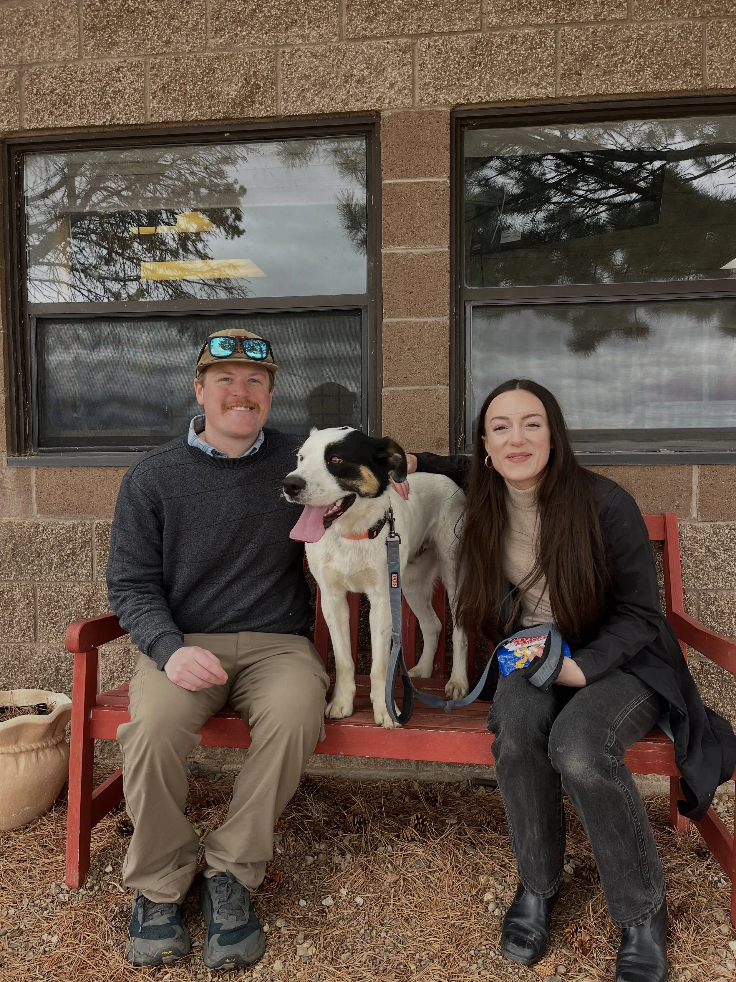 Happy National Rescue Pet Day! 🐾❤️

Today we celebrate the second chances, the wagging tails, the loud purrs, and the unconditional love that rescue pets bring into our lives every single day. Every adoption saves a life and opens space for another 