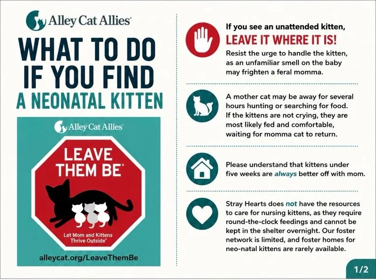 Found kittens alone? 🐾 Mom is usually nearby and kittens under 5 weeks old do best with her. If the kittens are warm, quiet, and safe, leave them where they are and monitor from a distance. Swipe to learn what to do and how to tell their age! ❤️

#K
