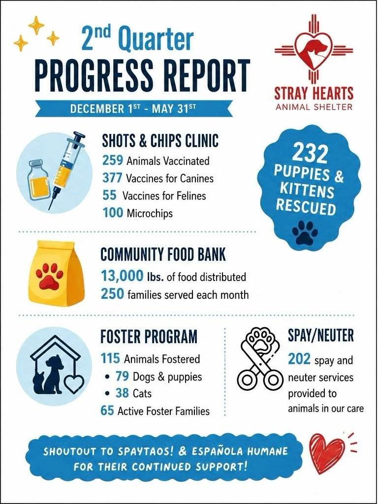 What a difference six months can make! ❤️🐾

From vaccines and microchips to adoptions, foster care, spay/neuter services, and our pet food bank, together we&rsquo;ve made a huge impact for animals in our community.

Thank you to our adopters, foster