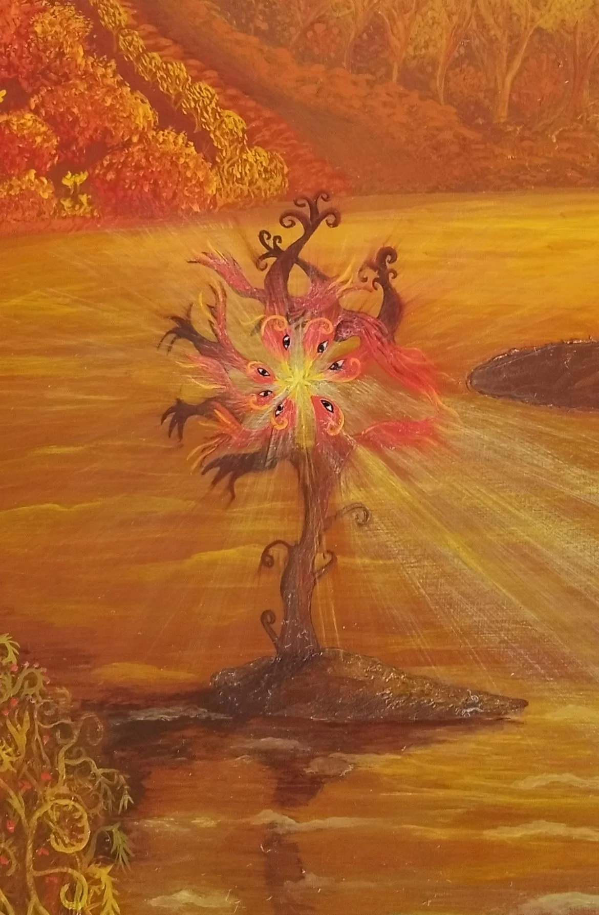 la-ou-la-lumiere-vit-detail-arbre-de-feu-buisson-ardent.jpg