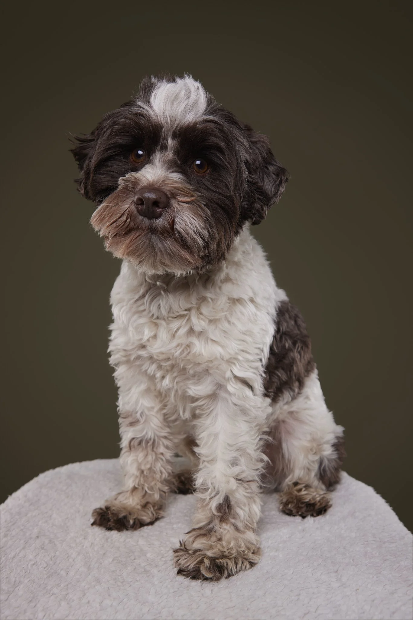 WALTER - Feb 20260898 _2048px for web use.jpg