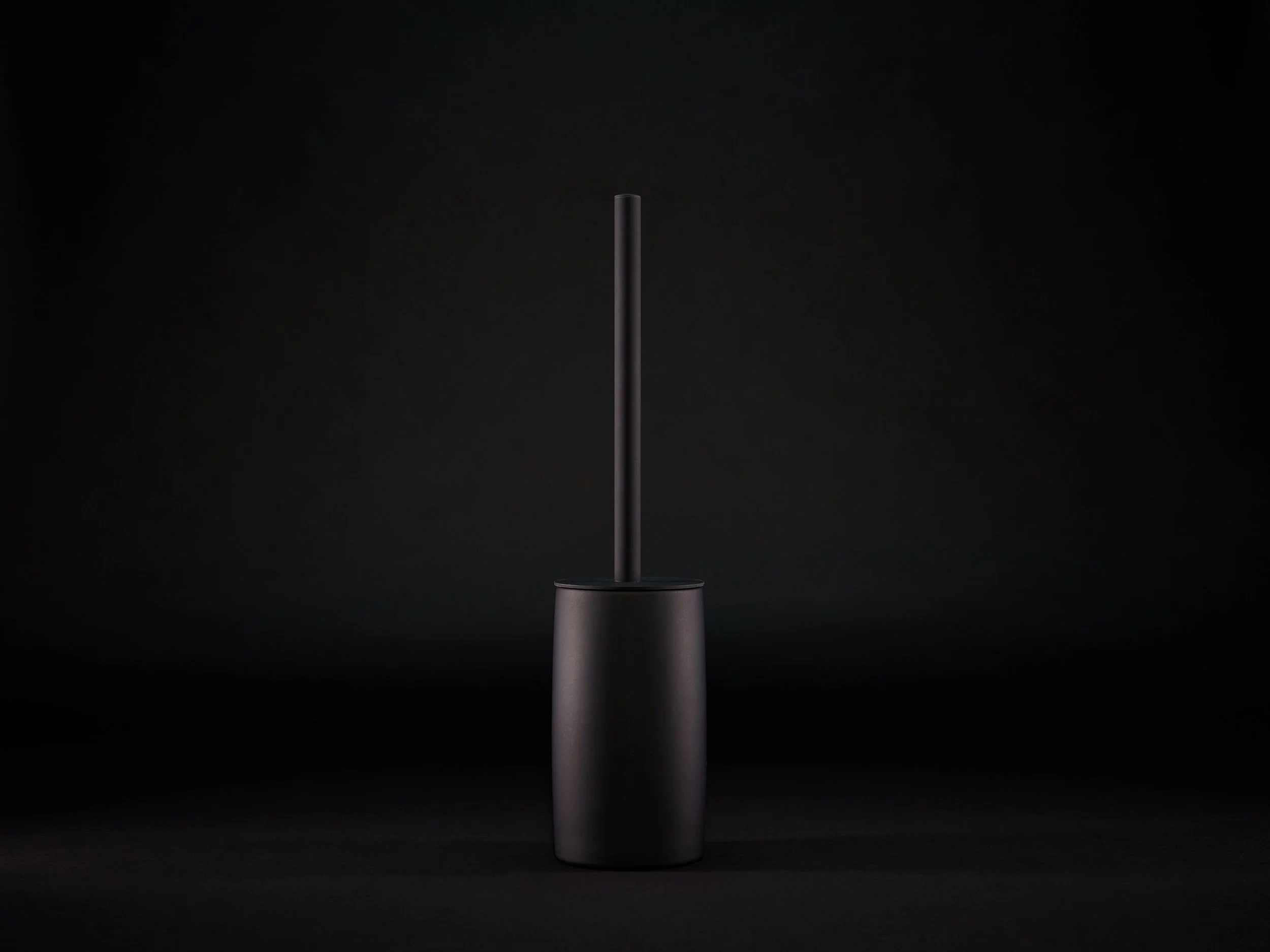 toilet brush black- web 1.jpg