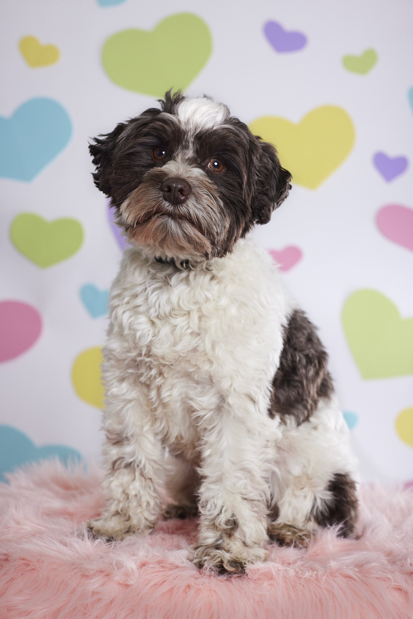 WALTER - Feb 20260749 _2048px for web use.jpg