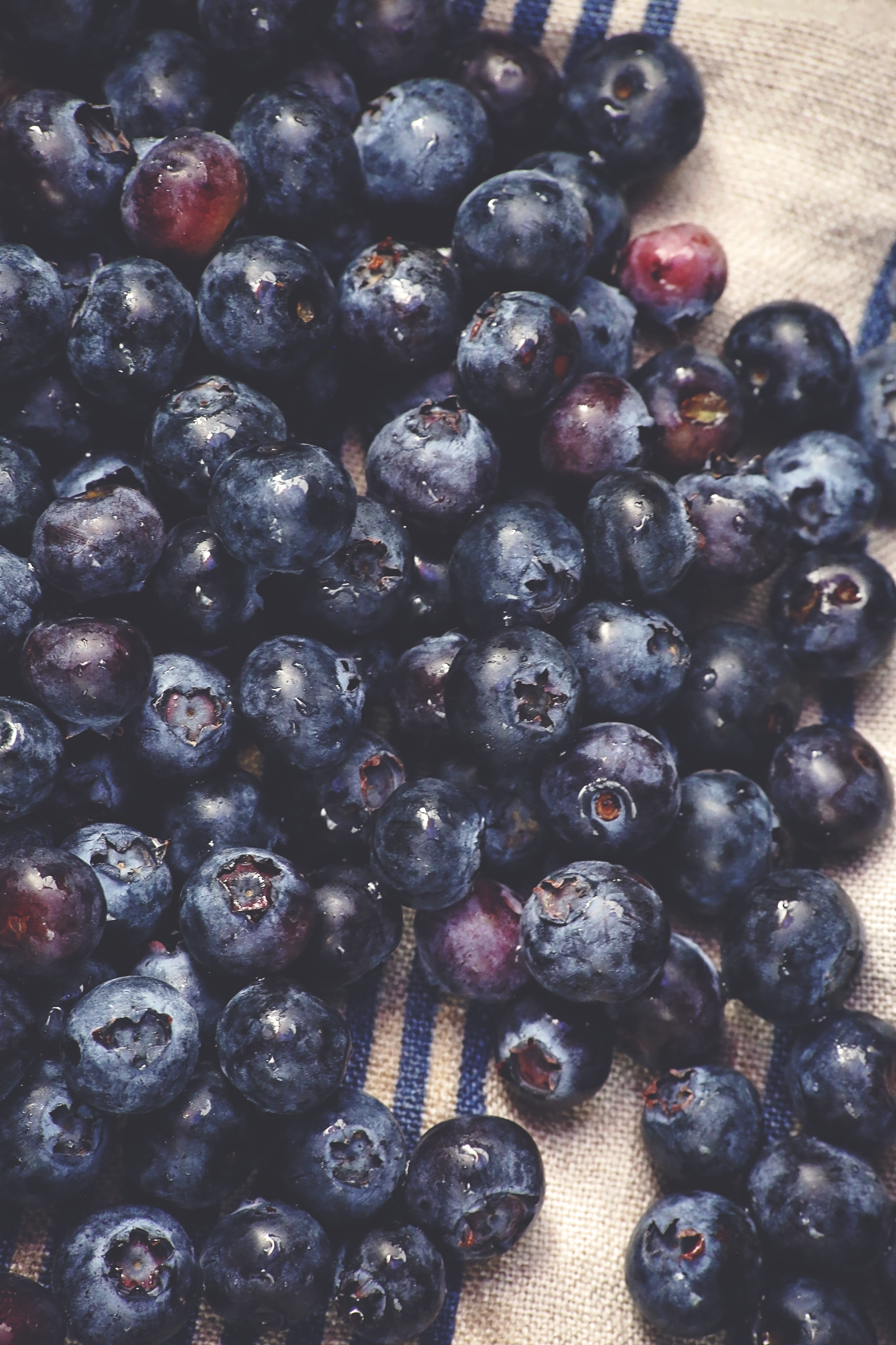 blueberries 172A1151 edit.png