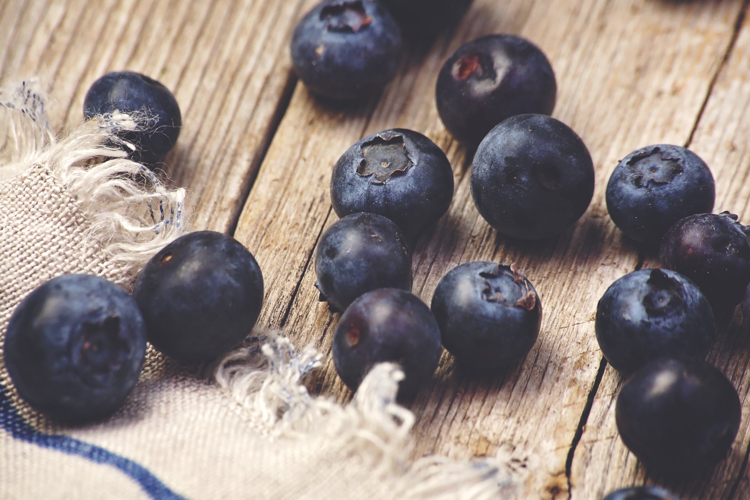blueberries-3  2400px.jpg