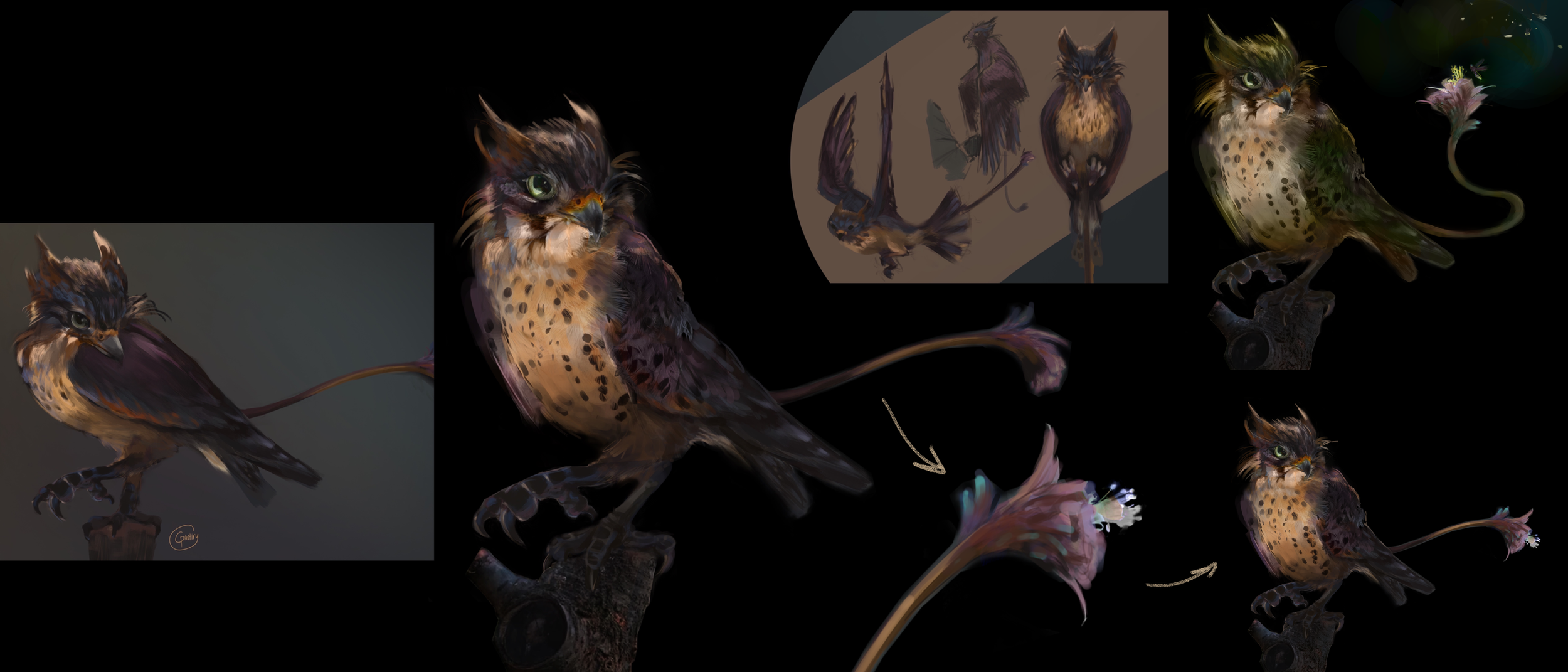 Birdy_CallSheet_1.png