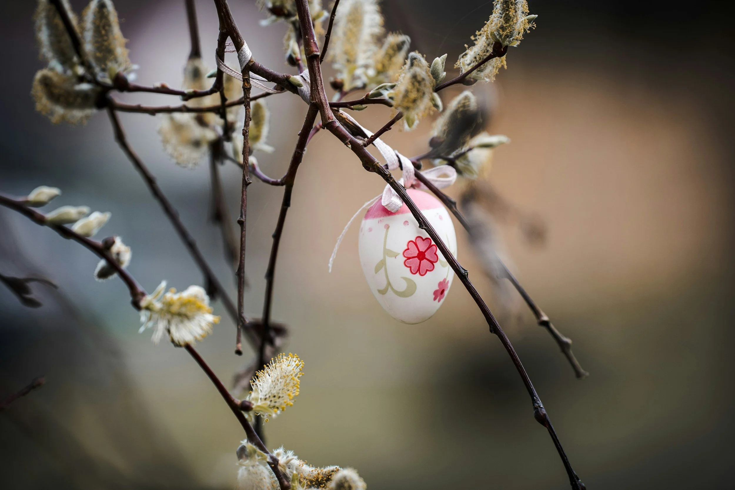 A decorated Easter egg hanging from a budding tree branch with white blossoms.