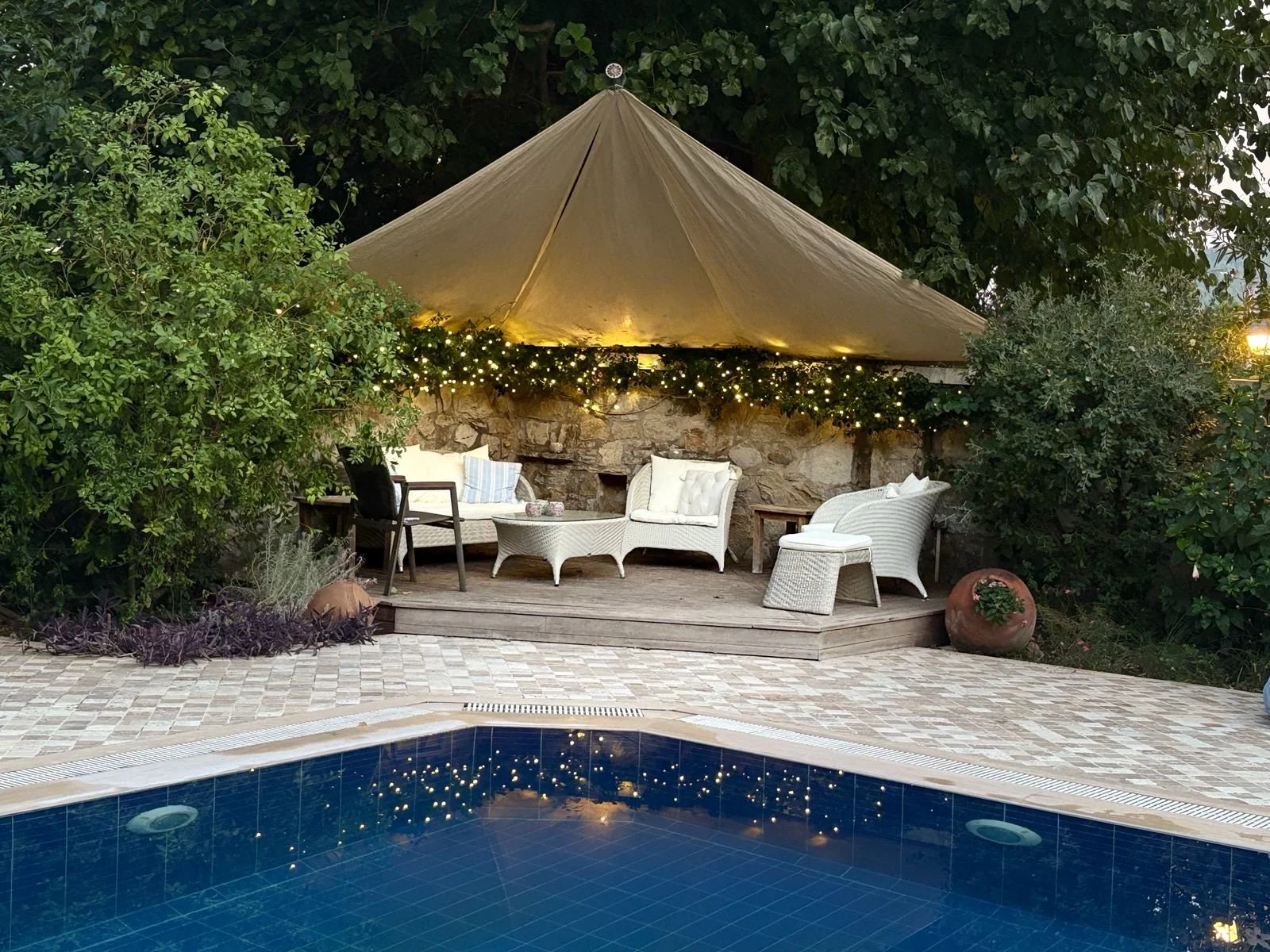 WhatsApp Image 2026-01-29 at 12.22.59 PM.jpeg