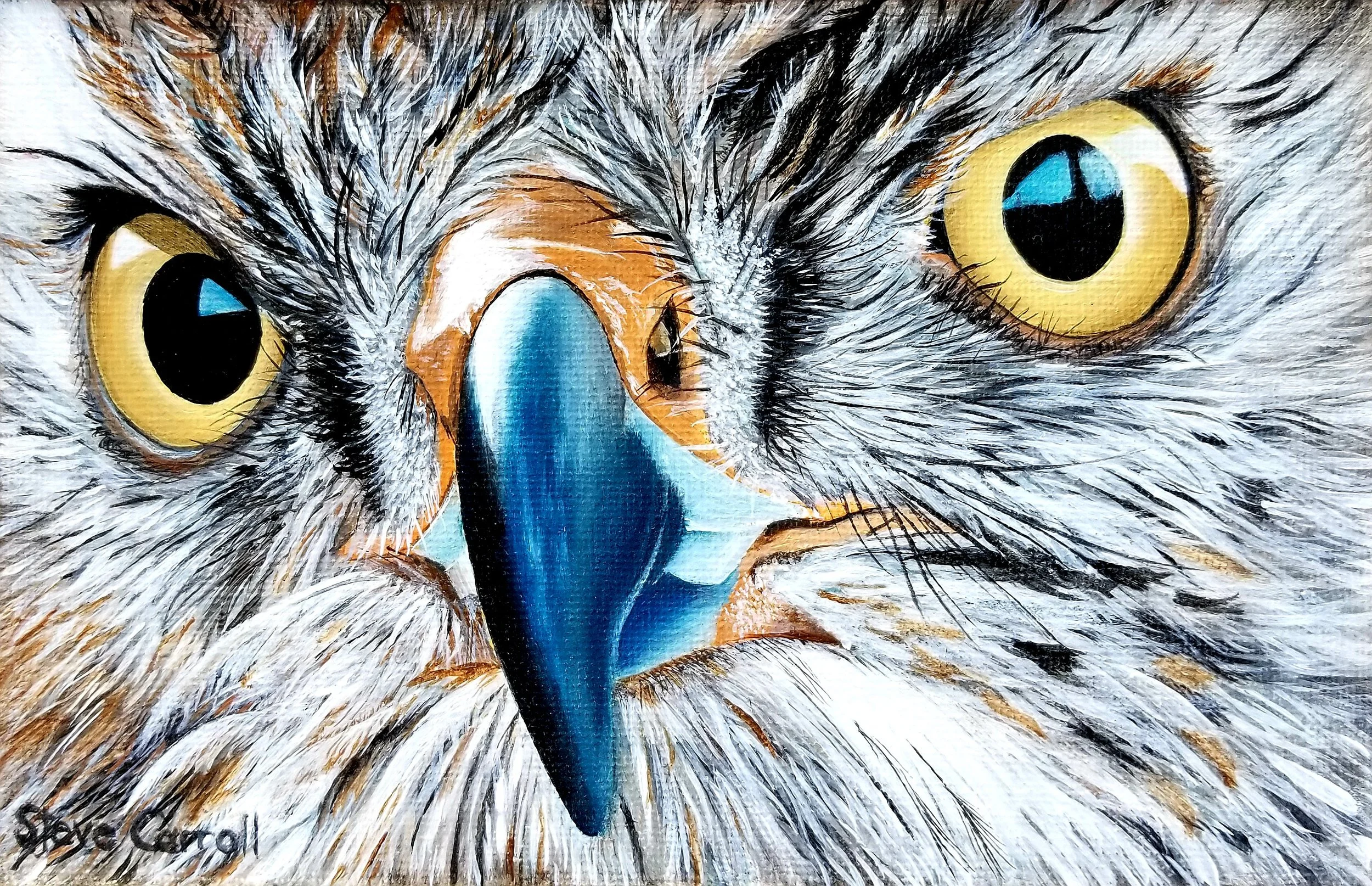 Steve_Carroll_Wild_Eyes.jpg