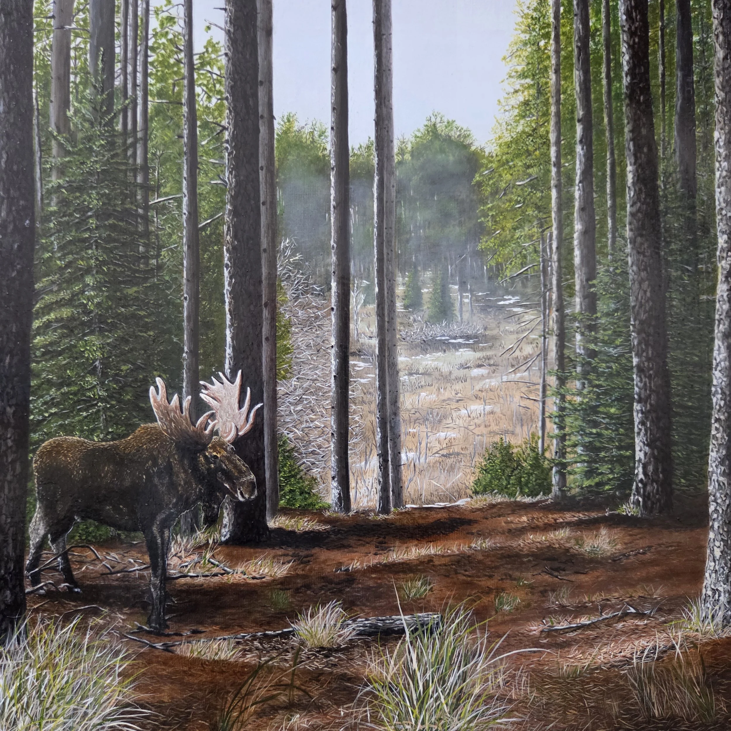 King of The Kawarthas, oil painting by Steve Carroll