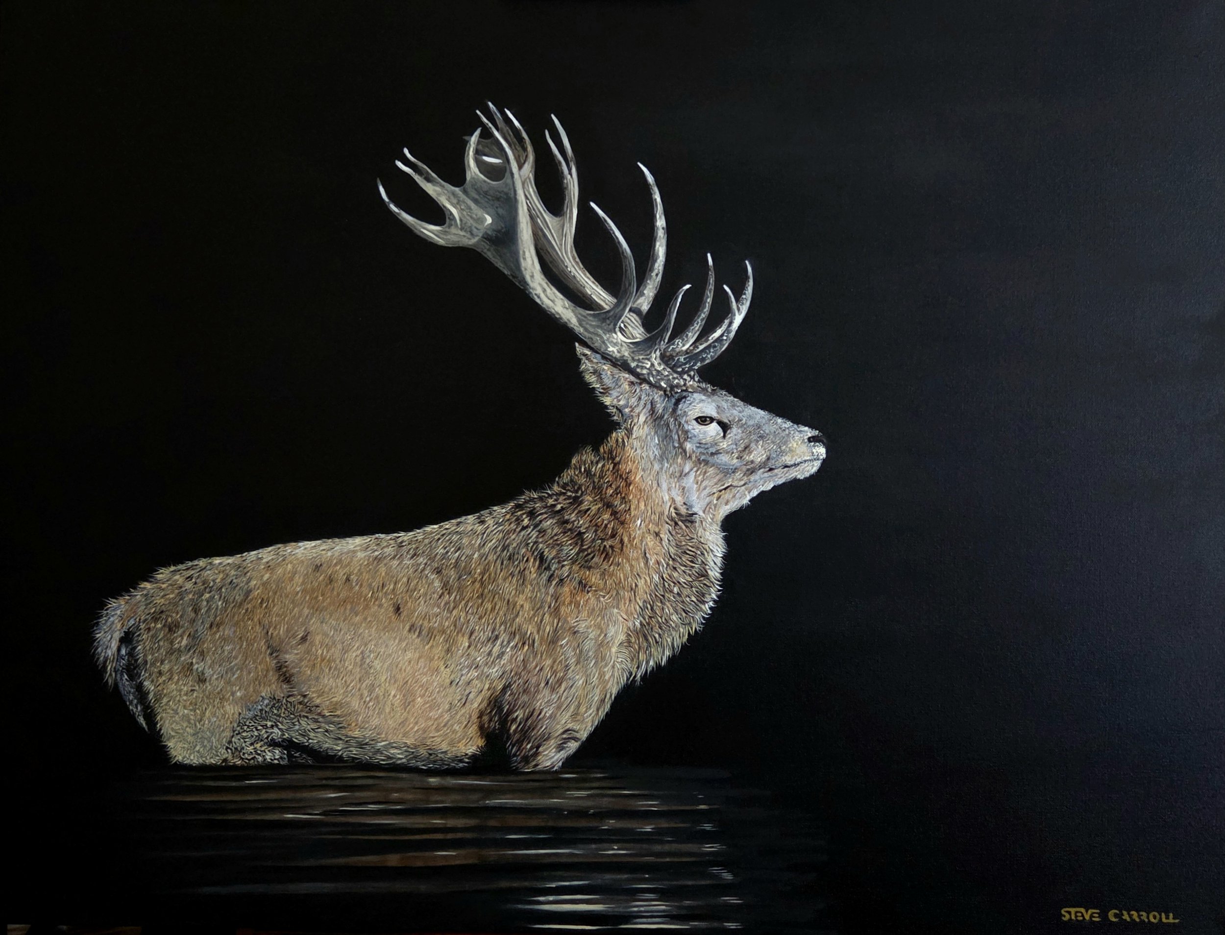 Painting of an elk deer with large antlers standing in water against a black background.