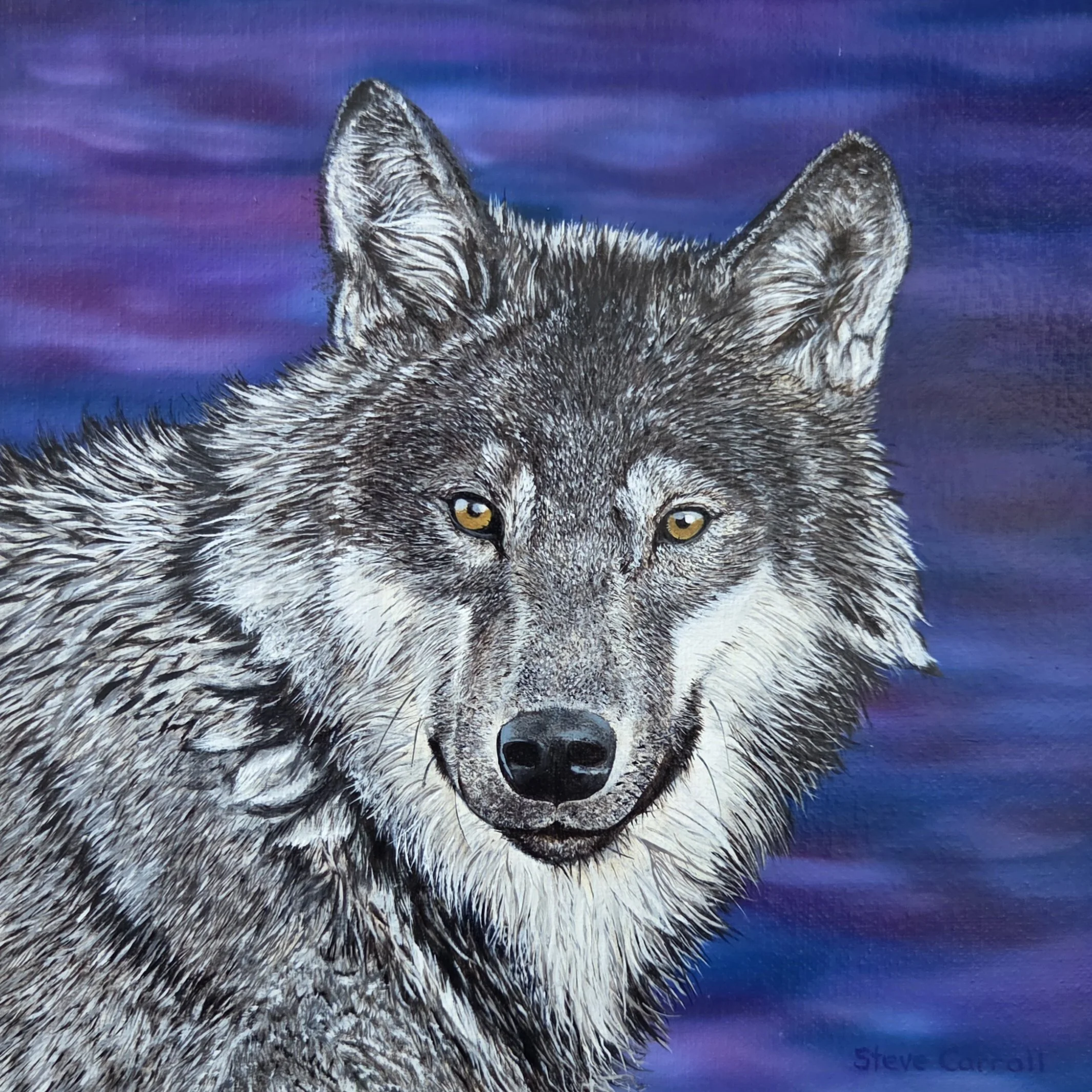 Timber Wolf, Oil painting by Steve Carroll