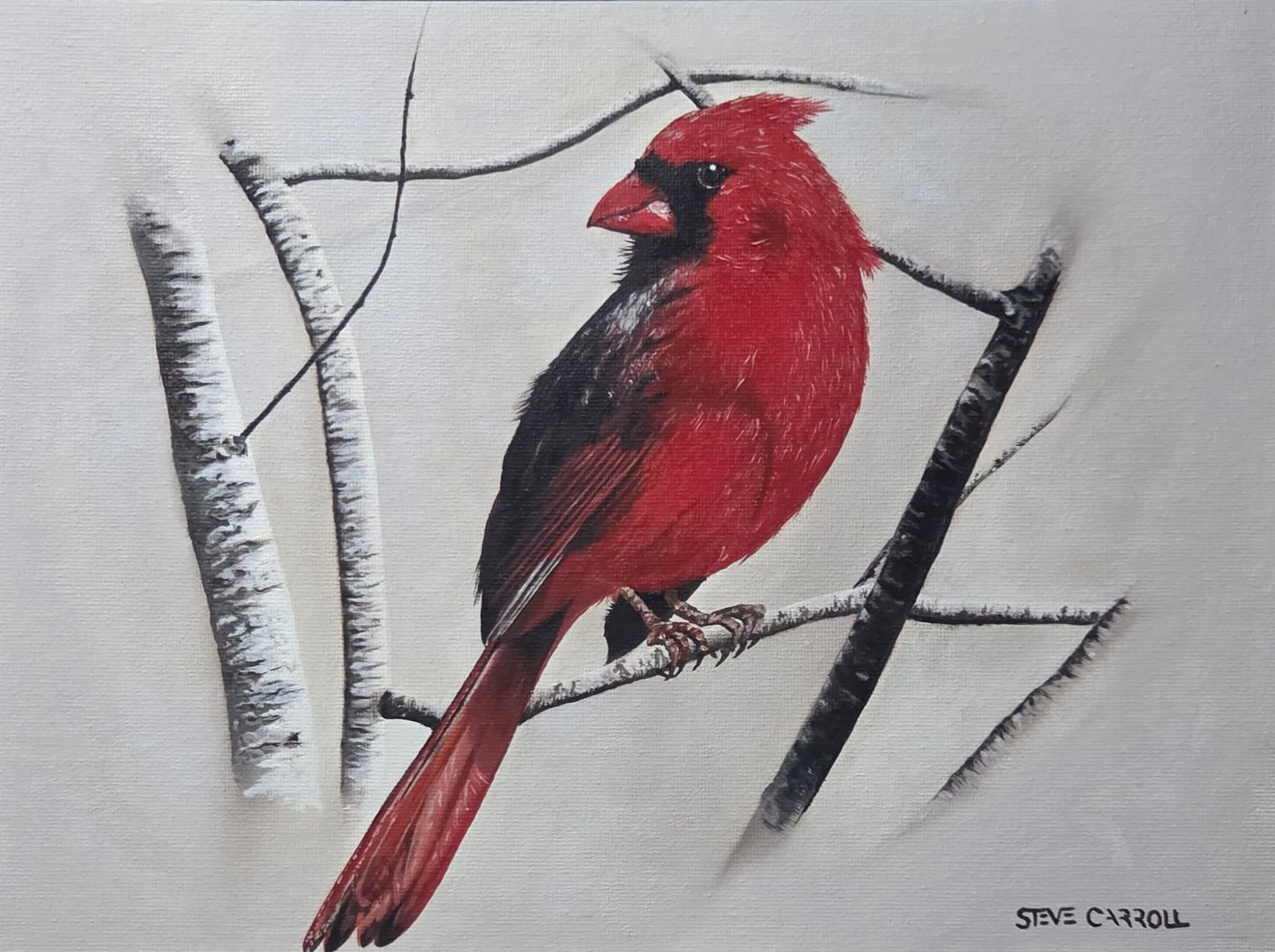 'Northern Cardinal'