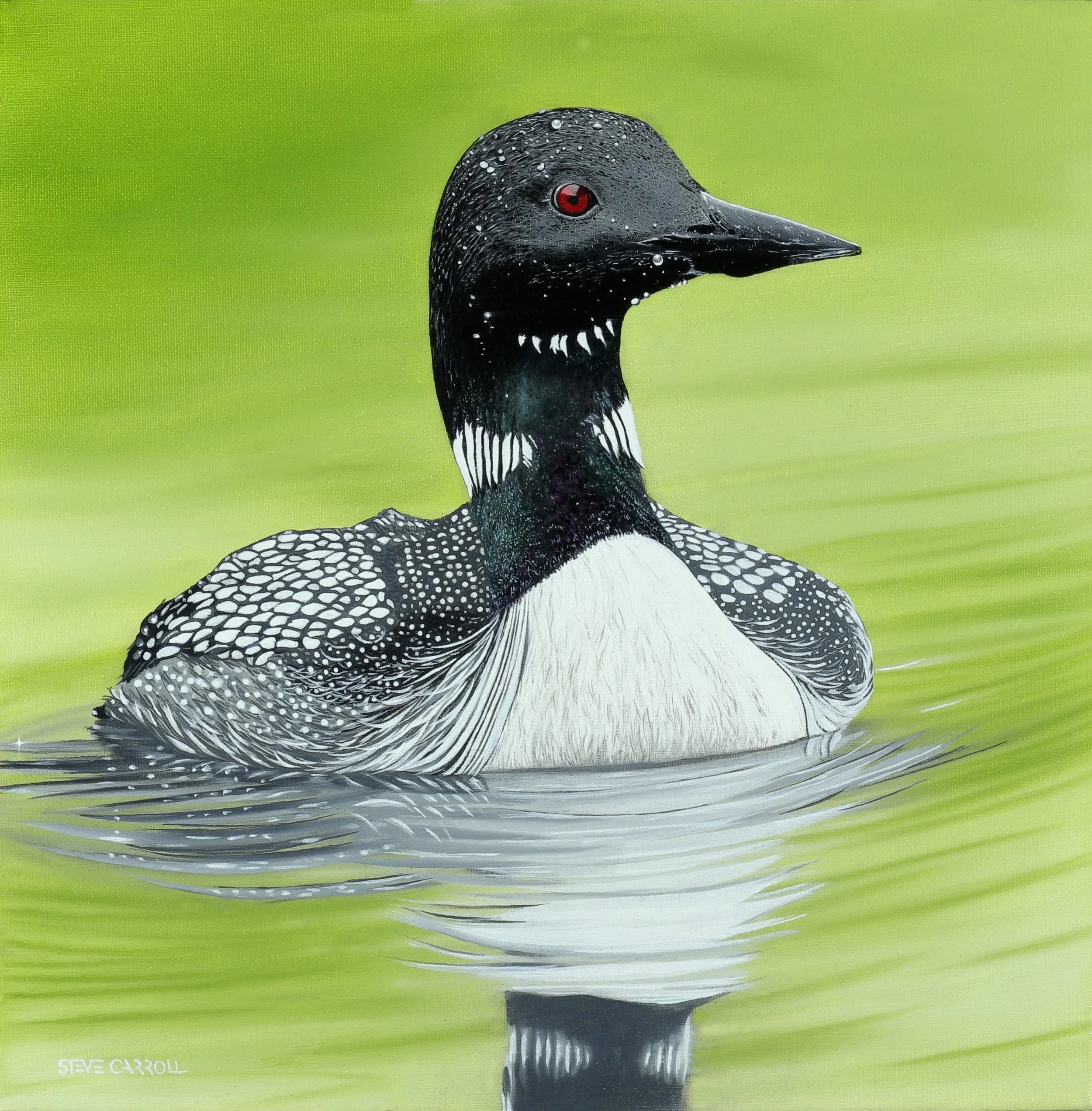 'Common Loon'