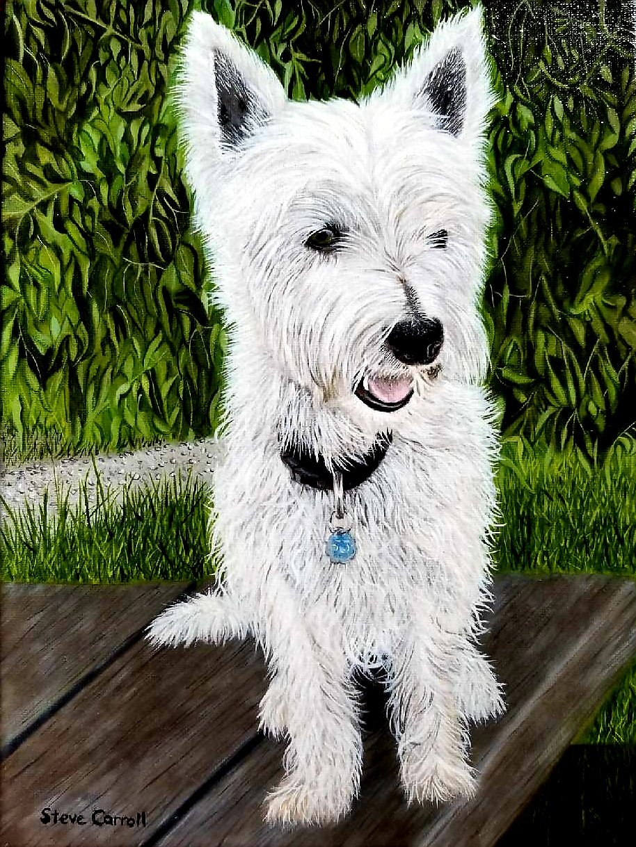 Artist Steve Carroll's oil painting of a white terrier dog with a black nose and eyes, sitting on a wooden surface with green foliage background.