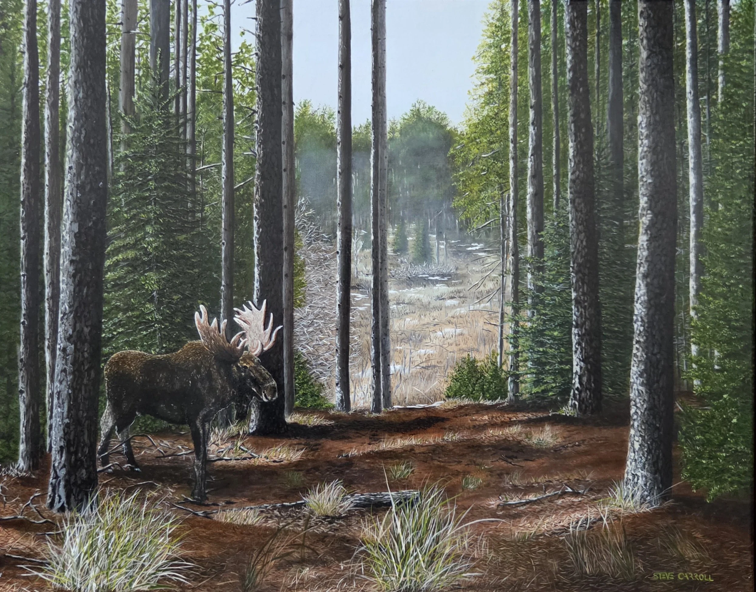 King of The Kawarthas, oil painting by Steve Carroll