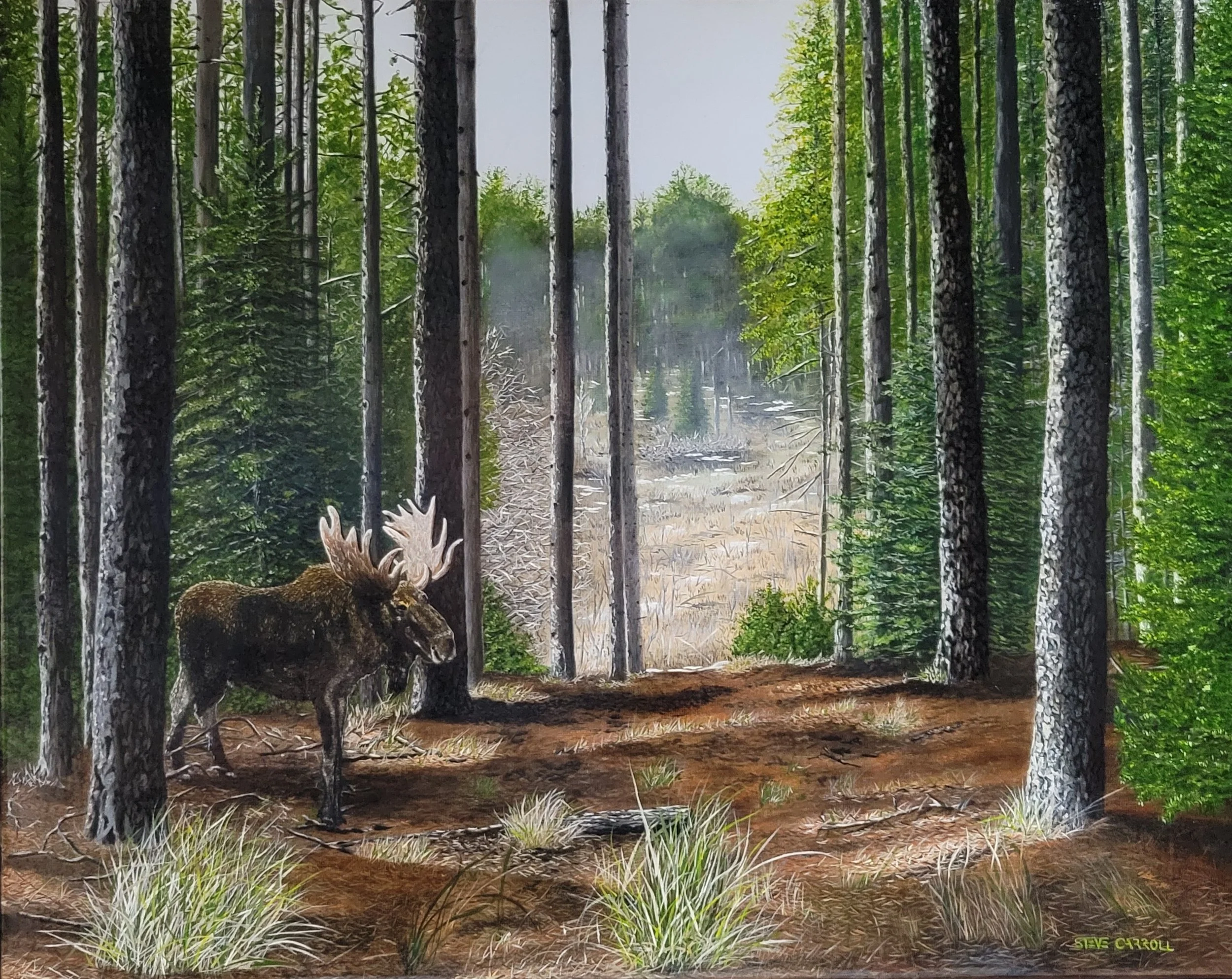 King of The Kawarthas, oil painting by Steve Carroll