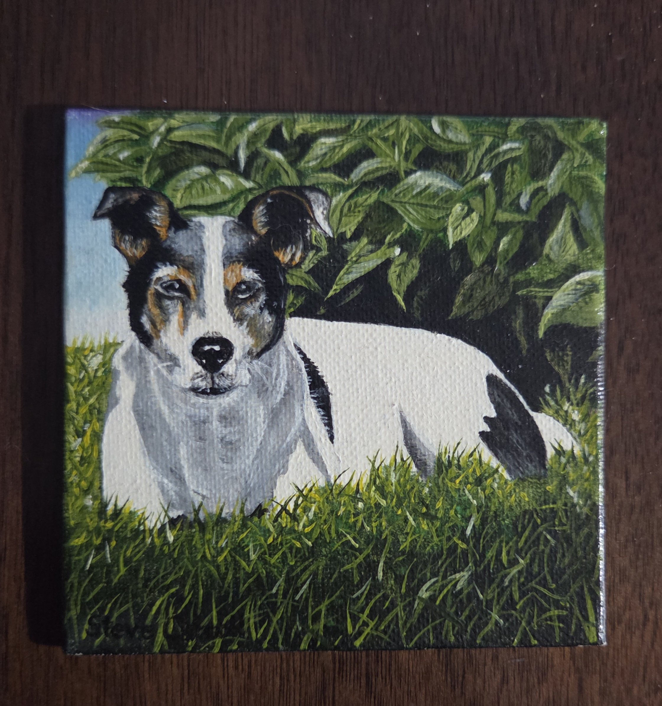 Artist Steve Carroll's oil painting of a Jack Russell Terrier dog lying on green grass with bushes in the background.