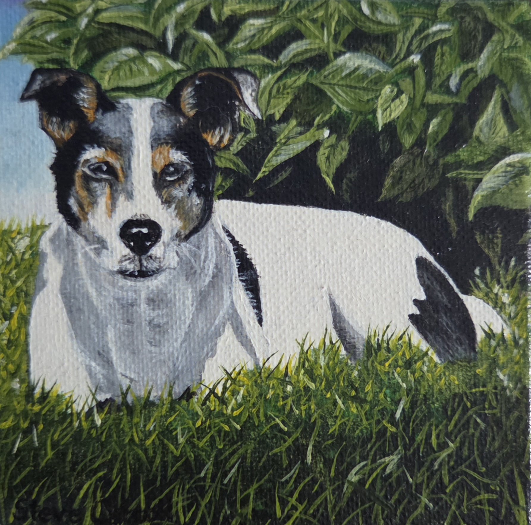 Tucker