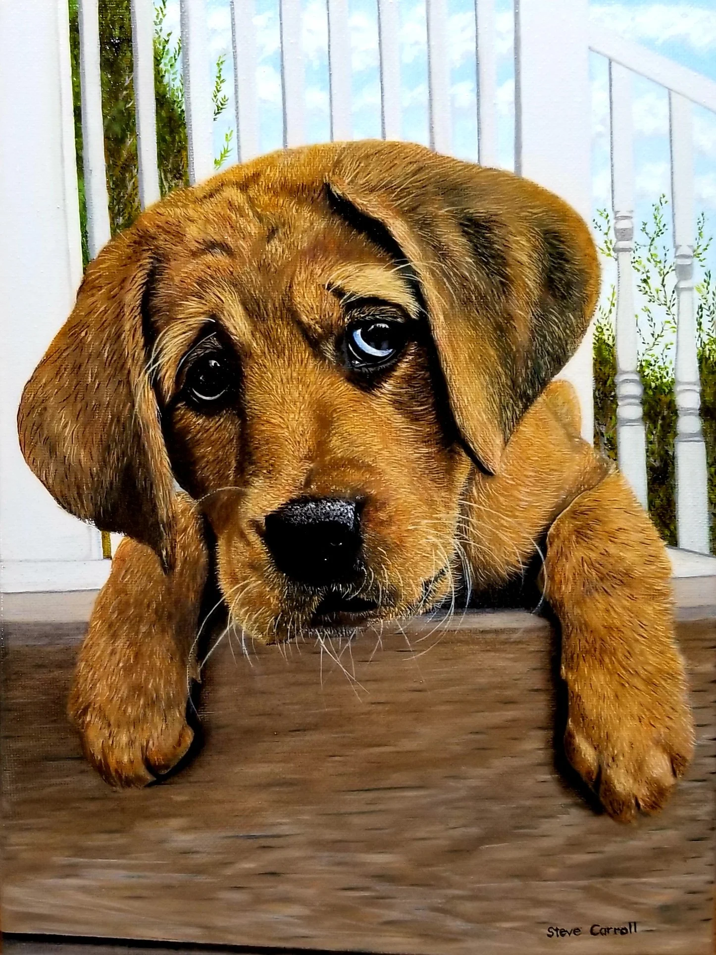 Artist Steve Carroll's realistic oil painting of a cute brown puppy with deep blue eyes, resting on a wooden surface with a white porch railing and greenery in the background.