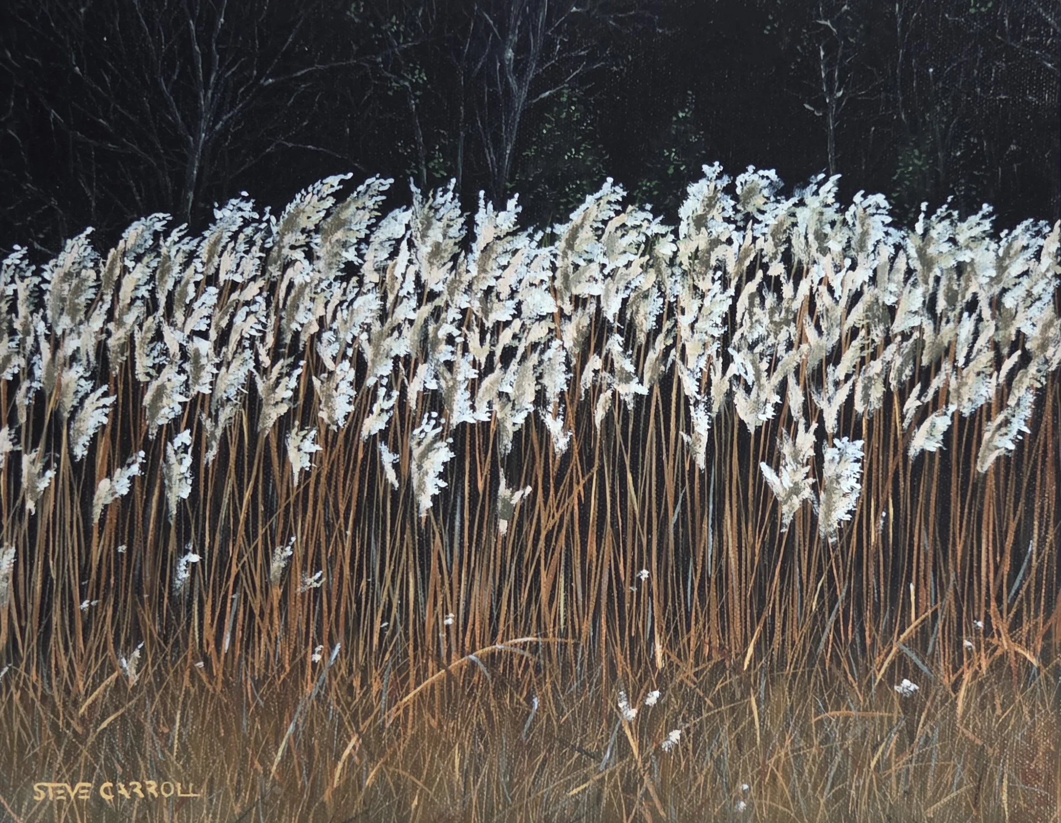 Gilded Grass, oil painting by Steve Carroll