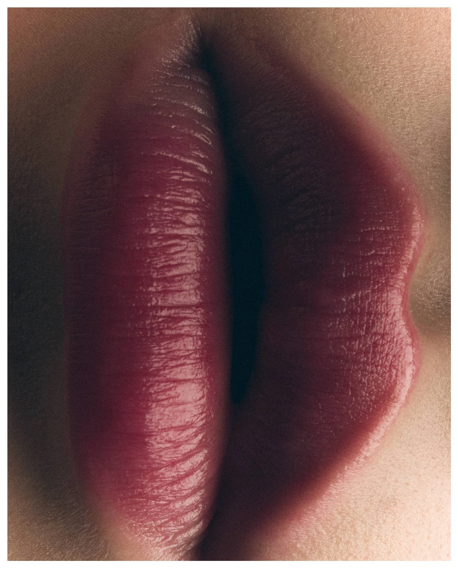 Close-up of lips with dark lipstick, showing detailed texture and natural skin surrounding the lips.