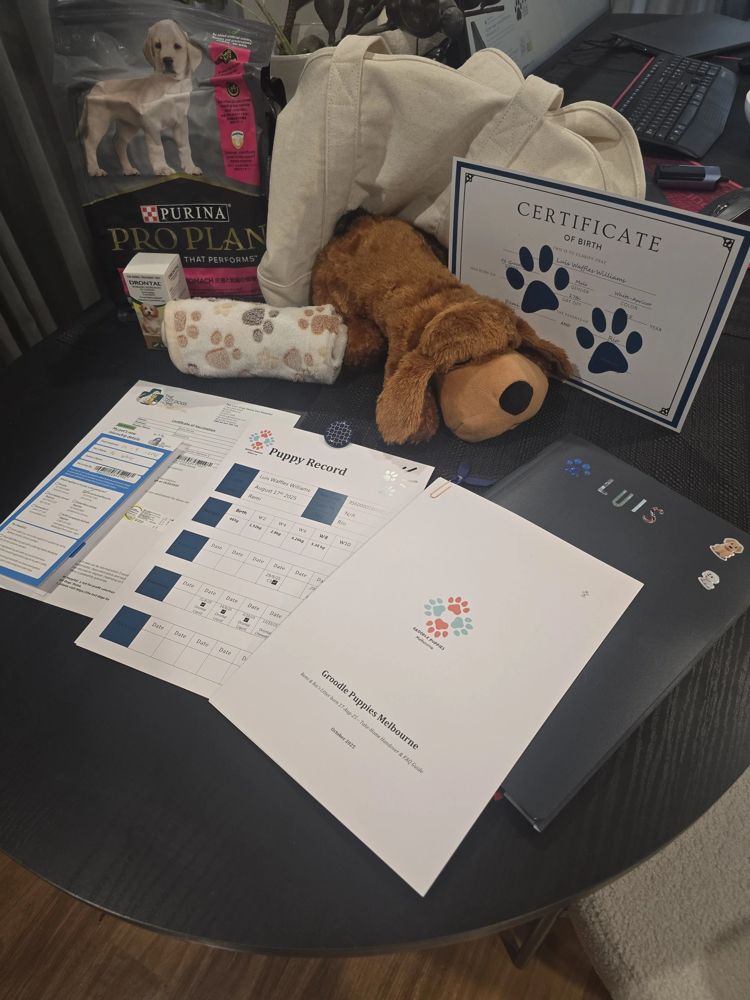 Dog adoption paperwork, a plush dog toy, a bag of dog food, a certificate of birth, and a rolled-up towel on a table.