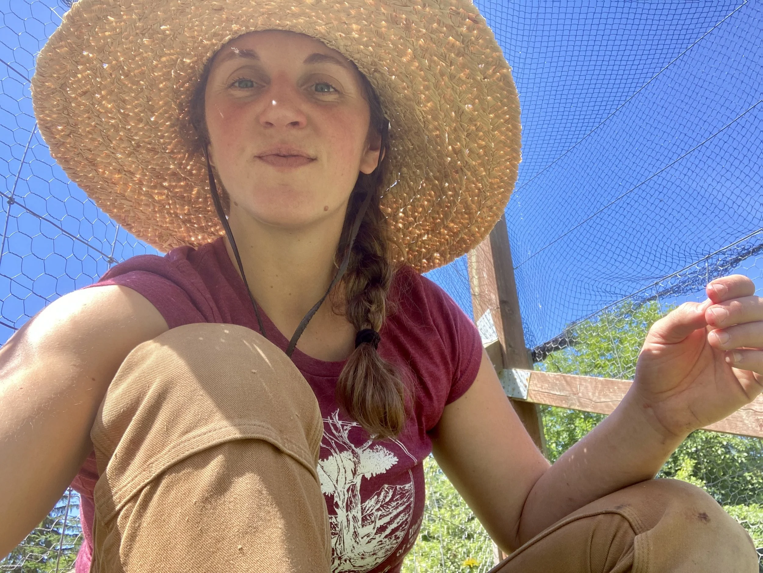 A woman wearing a large straw hat and a maroon t-shirt, sitting outdoors under a blue sky with a wooden structure and wire fencing behind her.