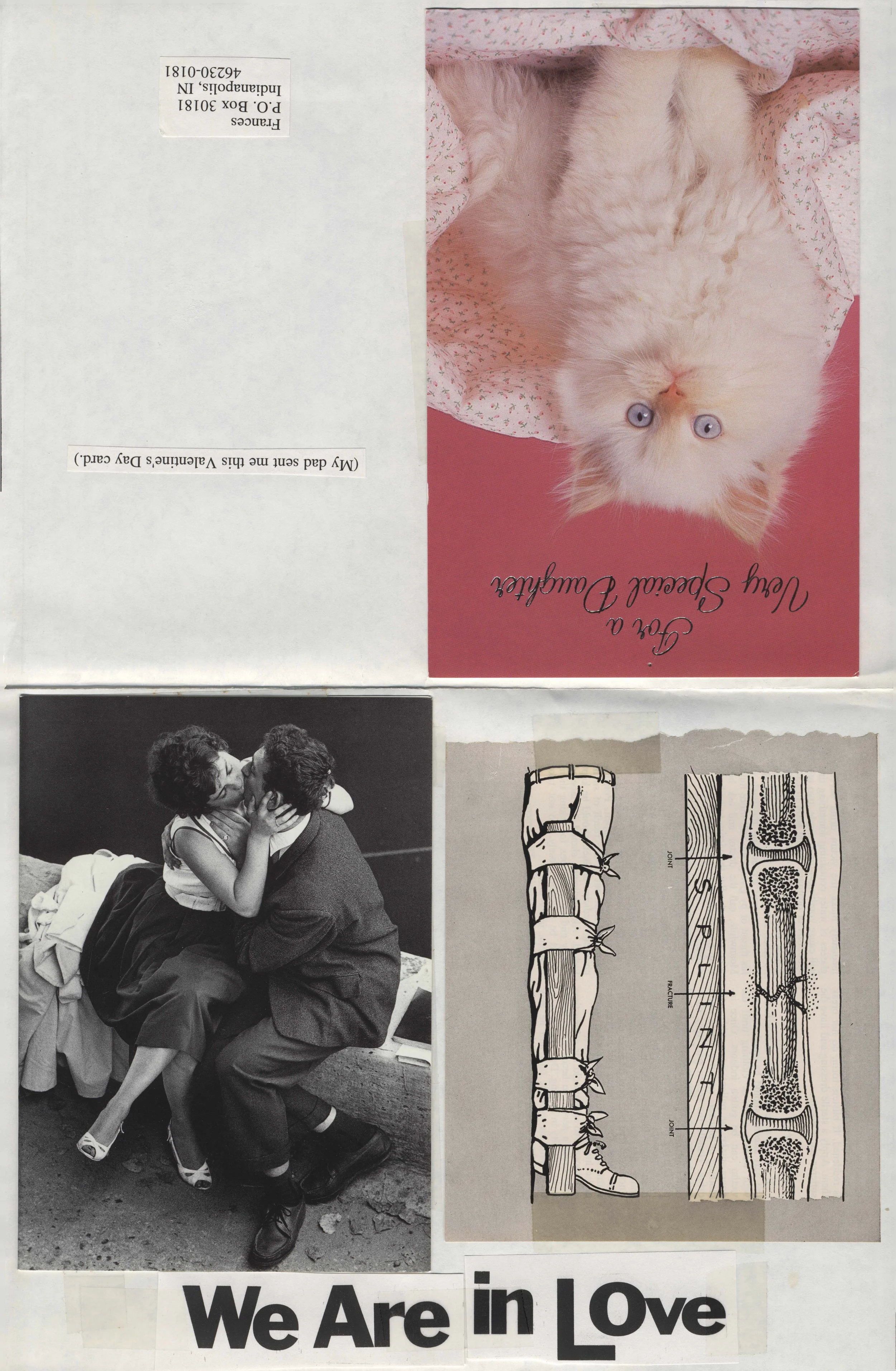 We are in Love Program.jpg