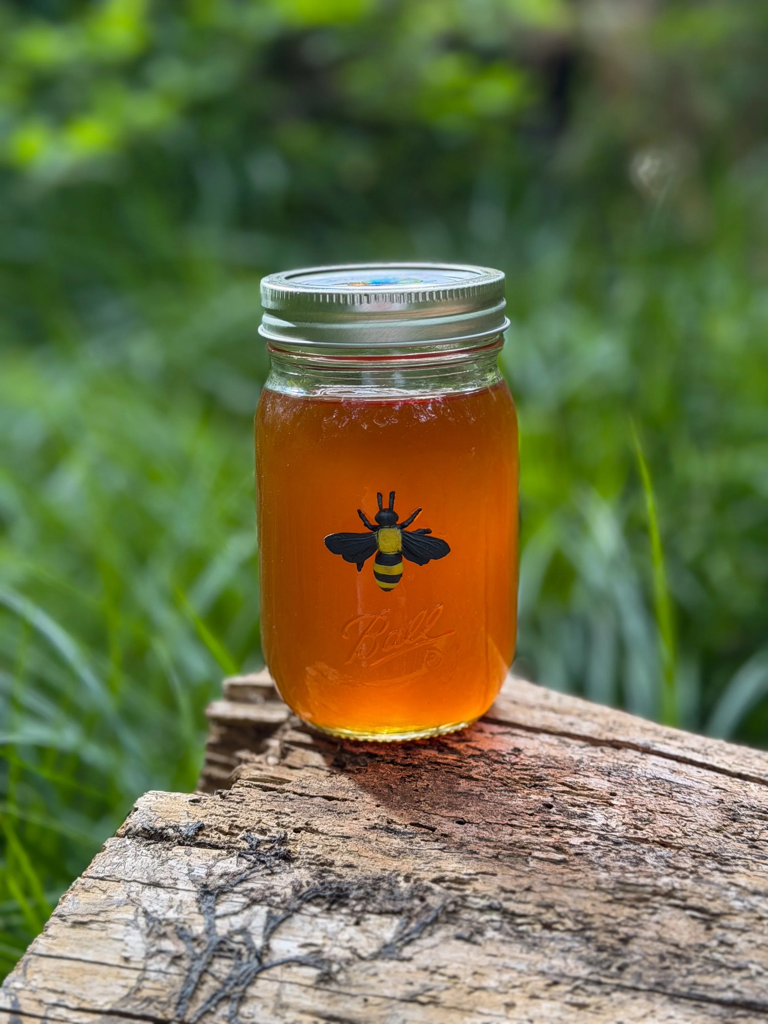 16oz Wildflower Honey
