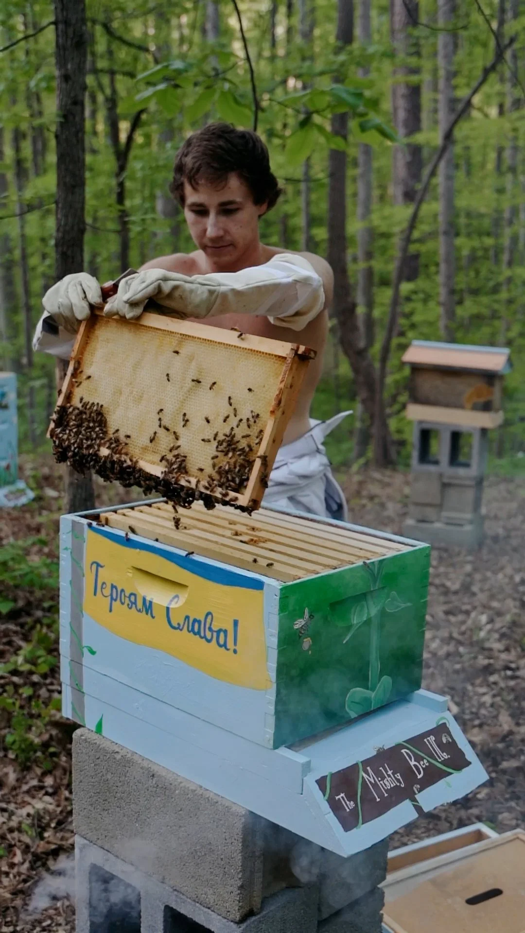 Sequence 02.00_00_08_23.Still001.jpg